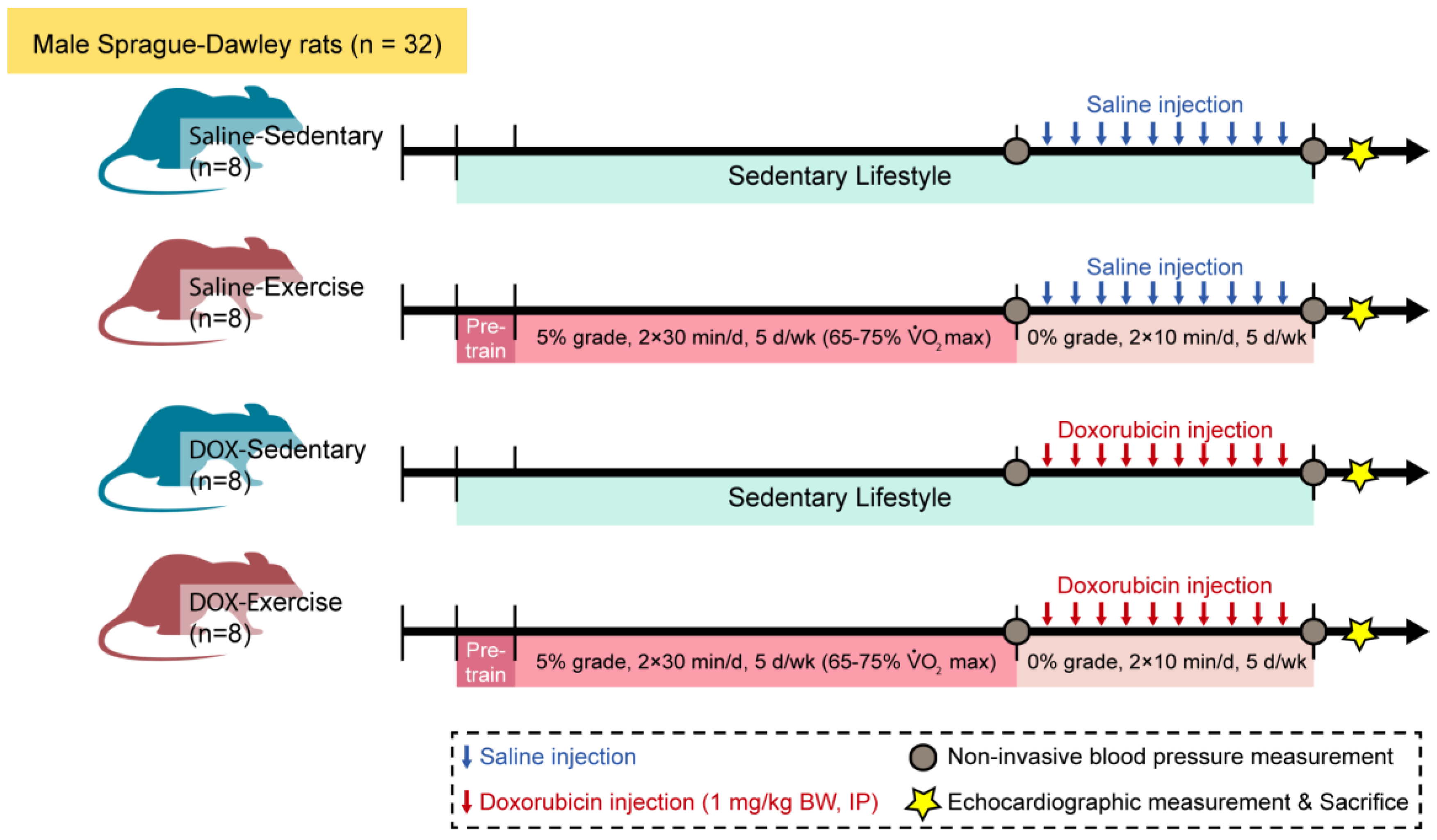 Ijms 25 09692 g001 Ijms 25 09692 g001