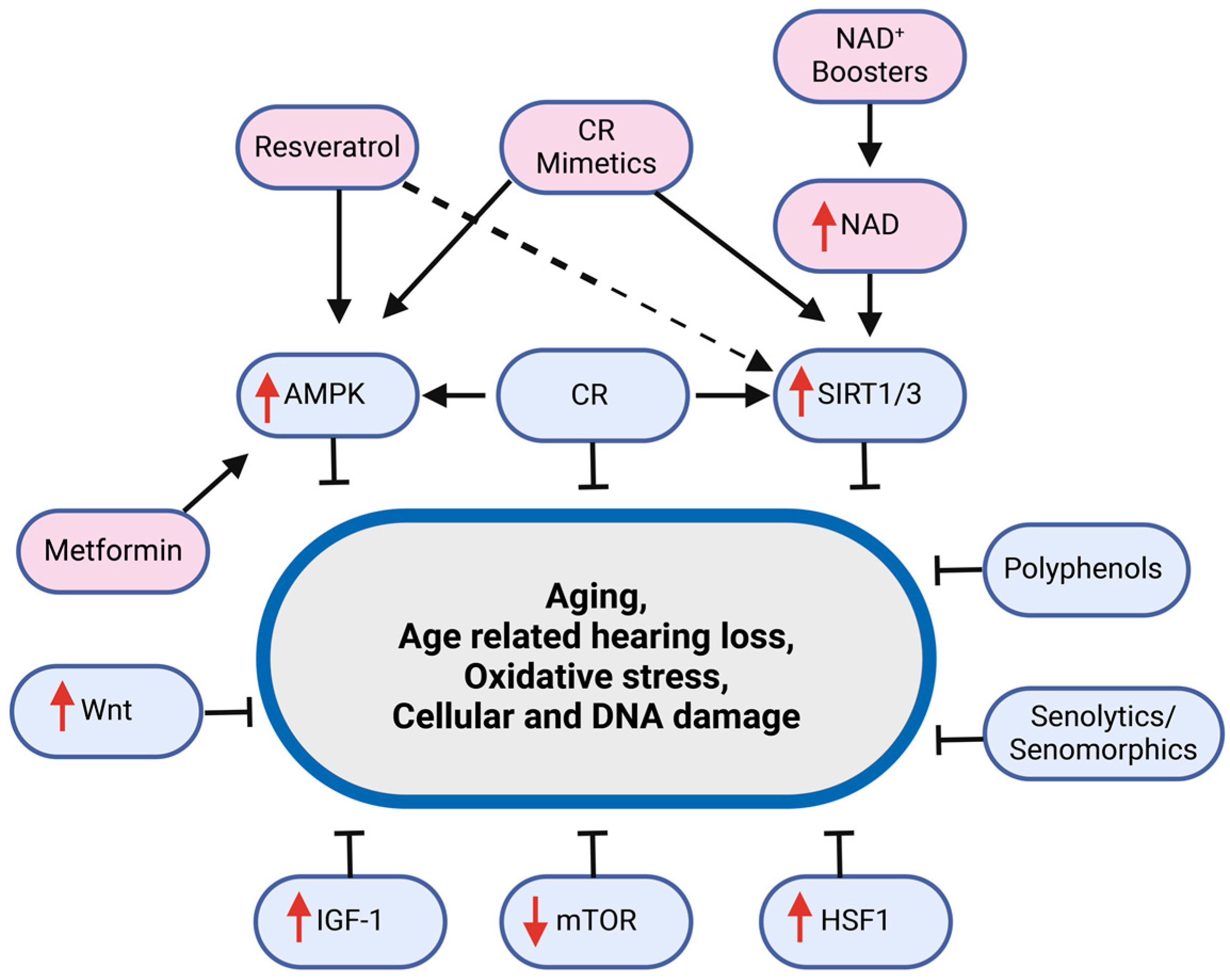 Ijms 25 09705 g003 Ijms 25 09705 g003