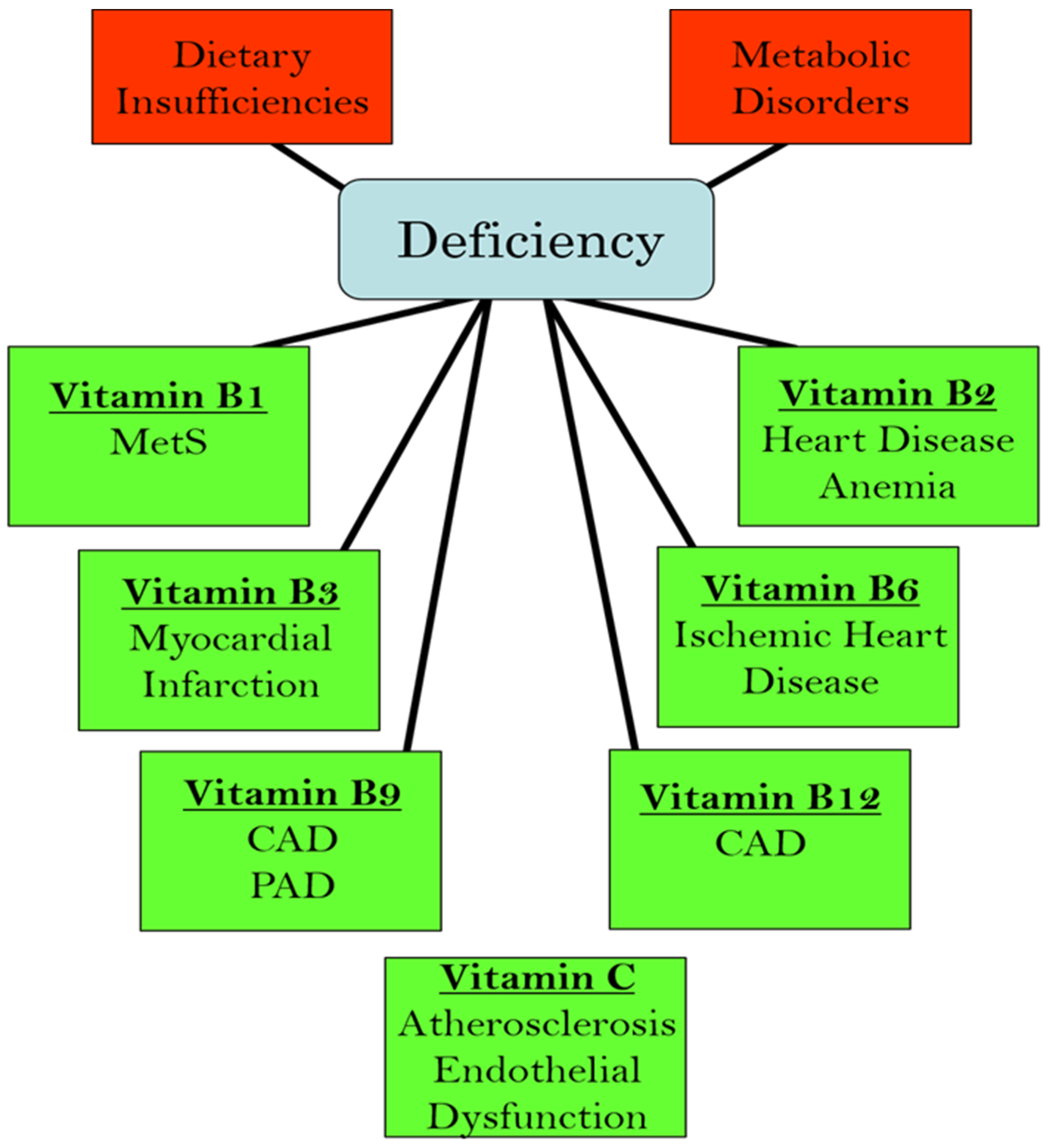 Ijms 25 09761 g001 Ijms 25 09761 g001