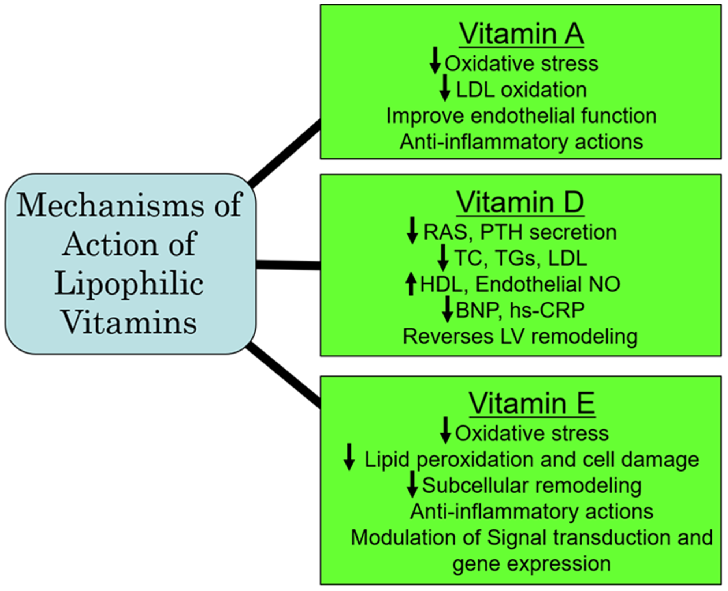 Ijms 25 09761 g004 Ijms 25 09761 g004