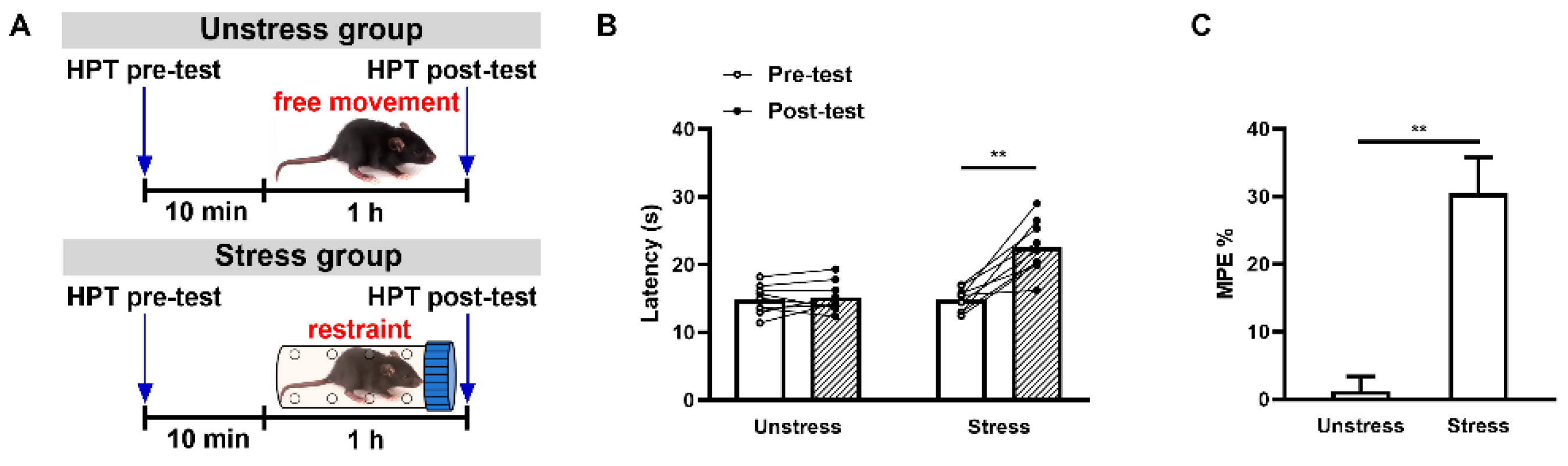 Ijms 25 09774 g001 Ijms 25 09774 g001