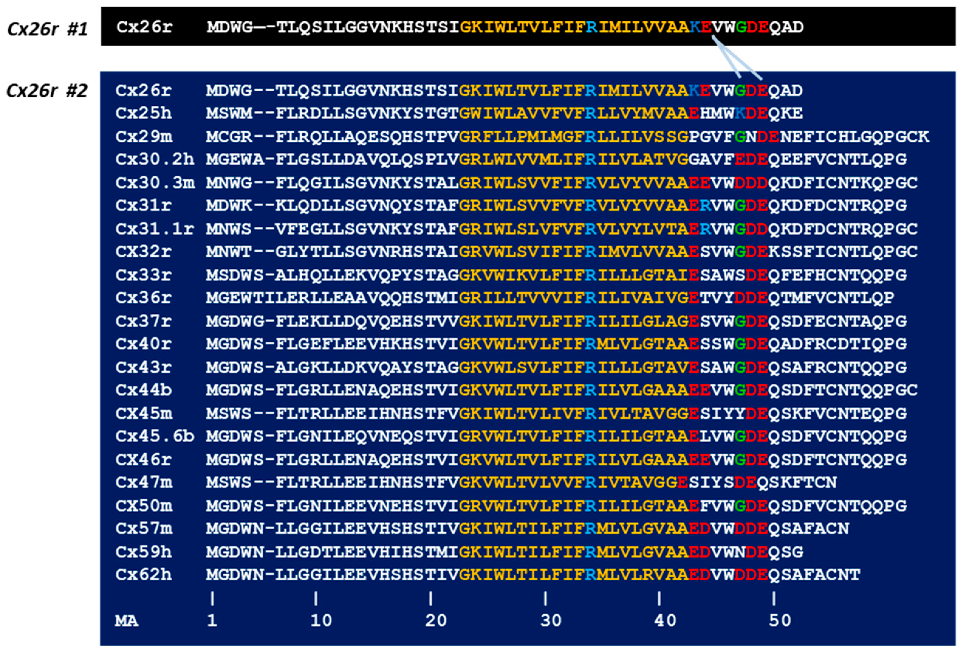 Ijms 25 09789 g004 Ijms 25 09789 g004