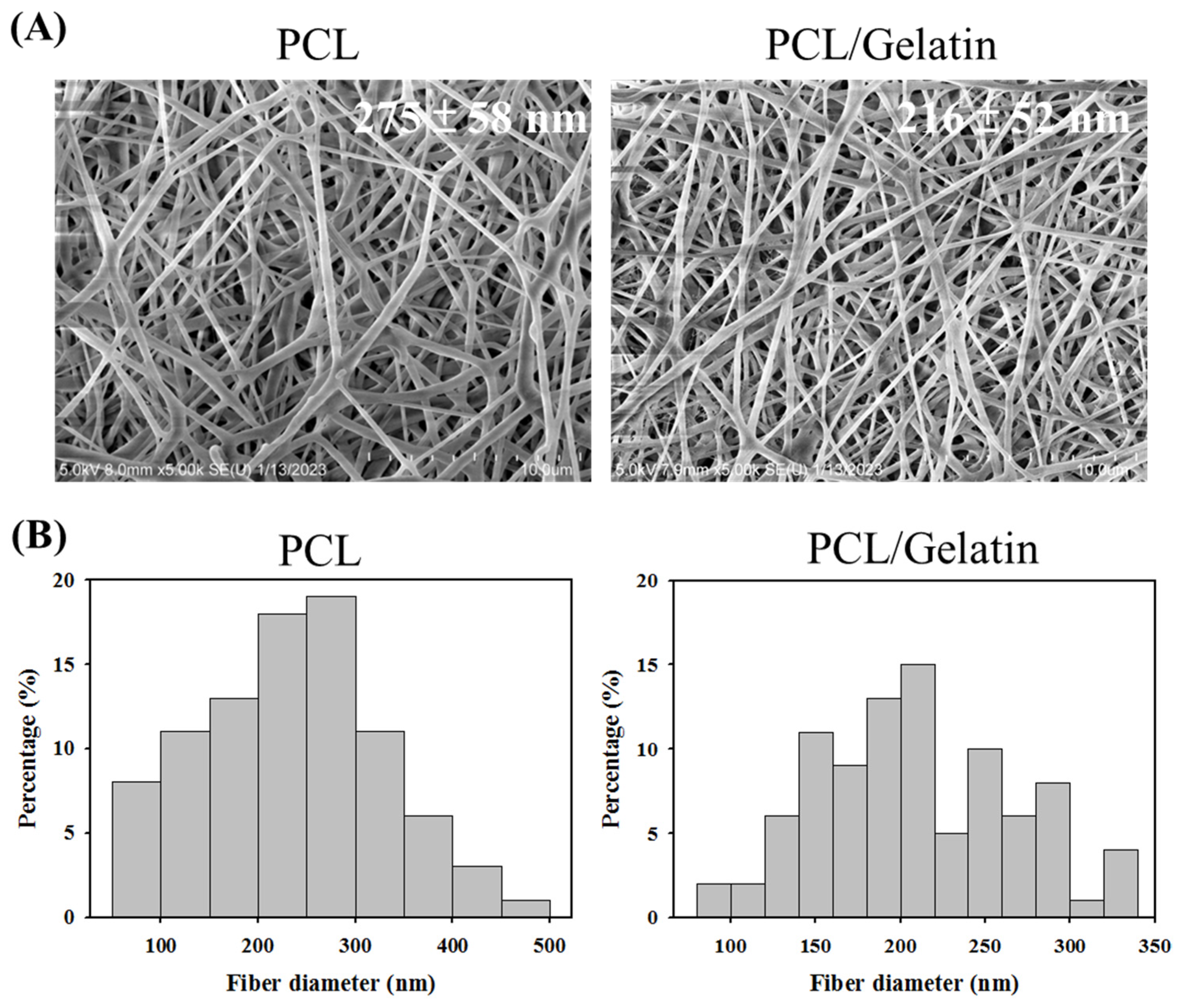 Ijms 25 09803 g001 Ijms 25 09803 g001