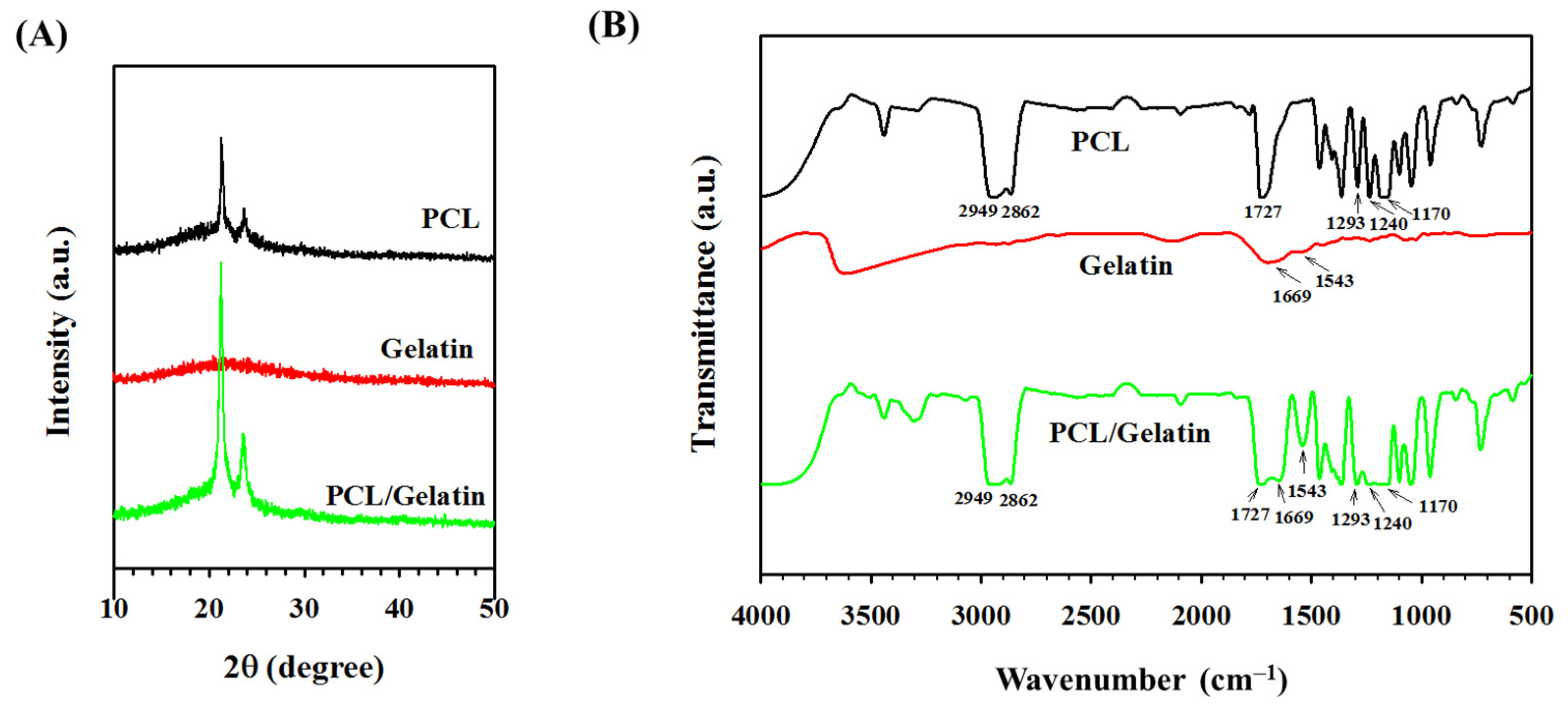 Ijms 25 09803 g004 Ijms 25 09803 g004