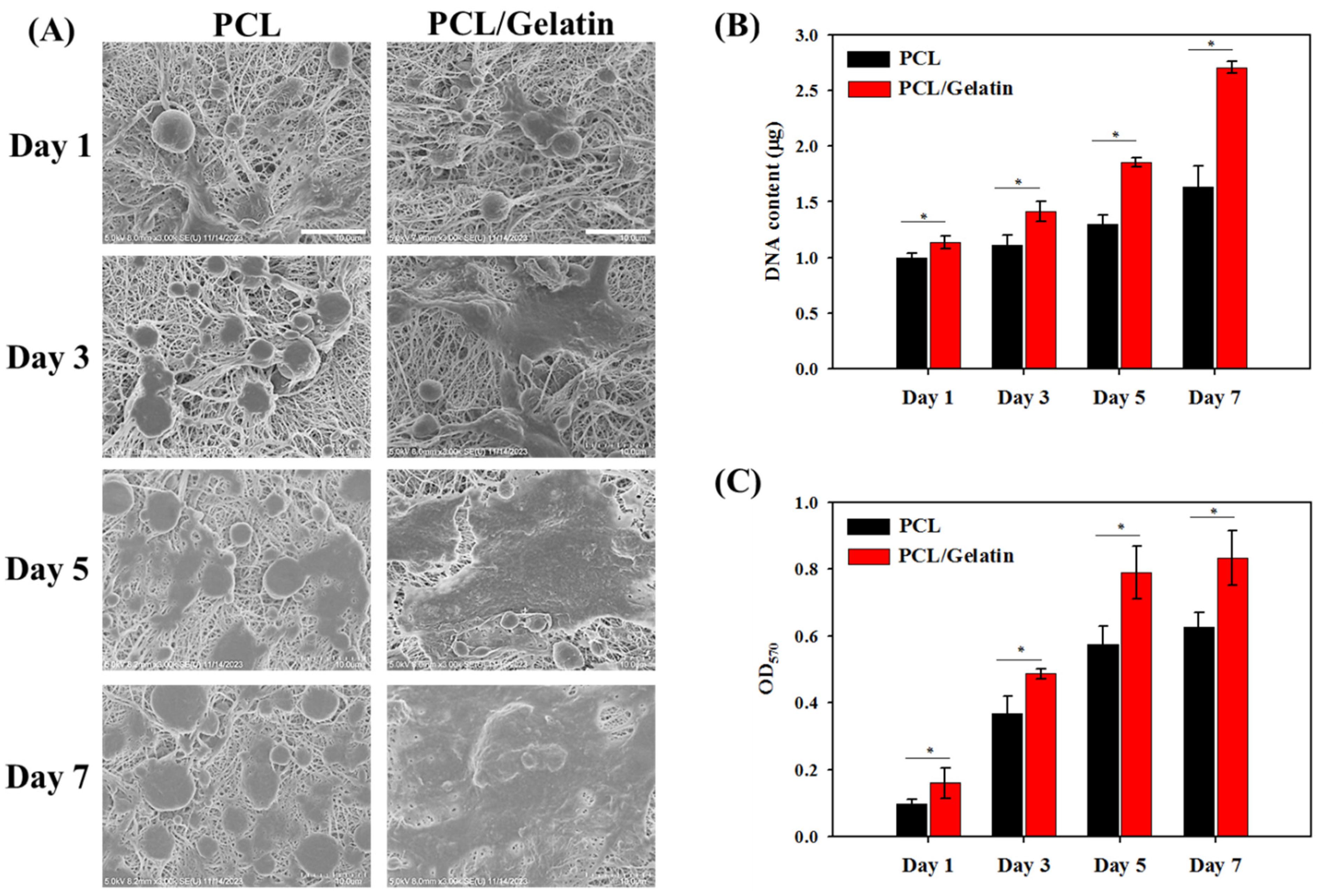 Ijms 25 09803 g006 Ijms 25 09803 g006