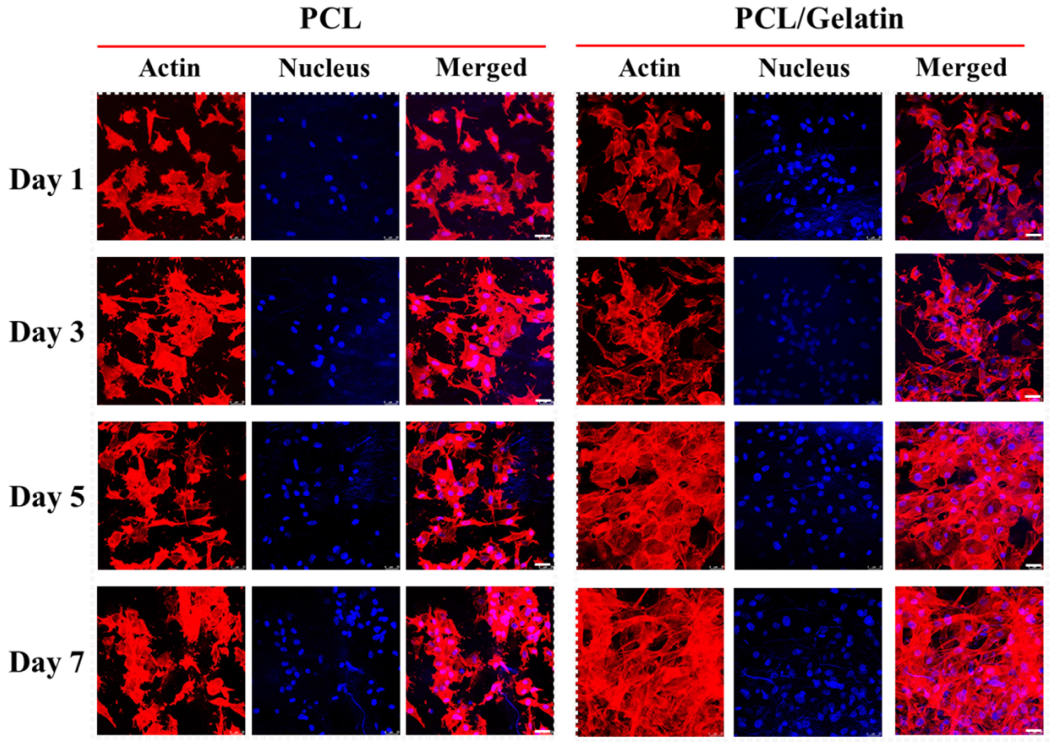 Ijms 25 09803 g008 Ijms 25 09803 g008