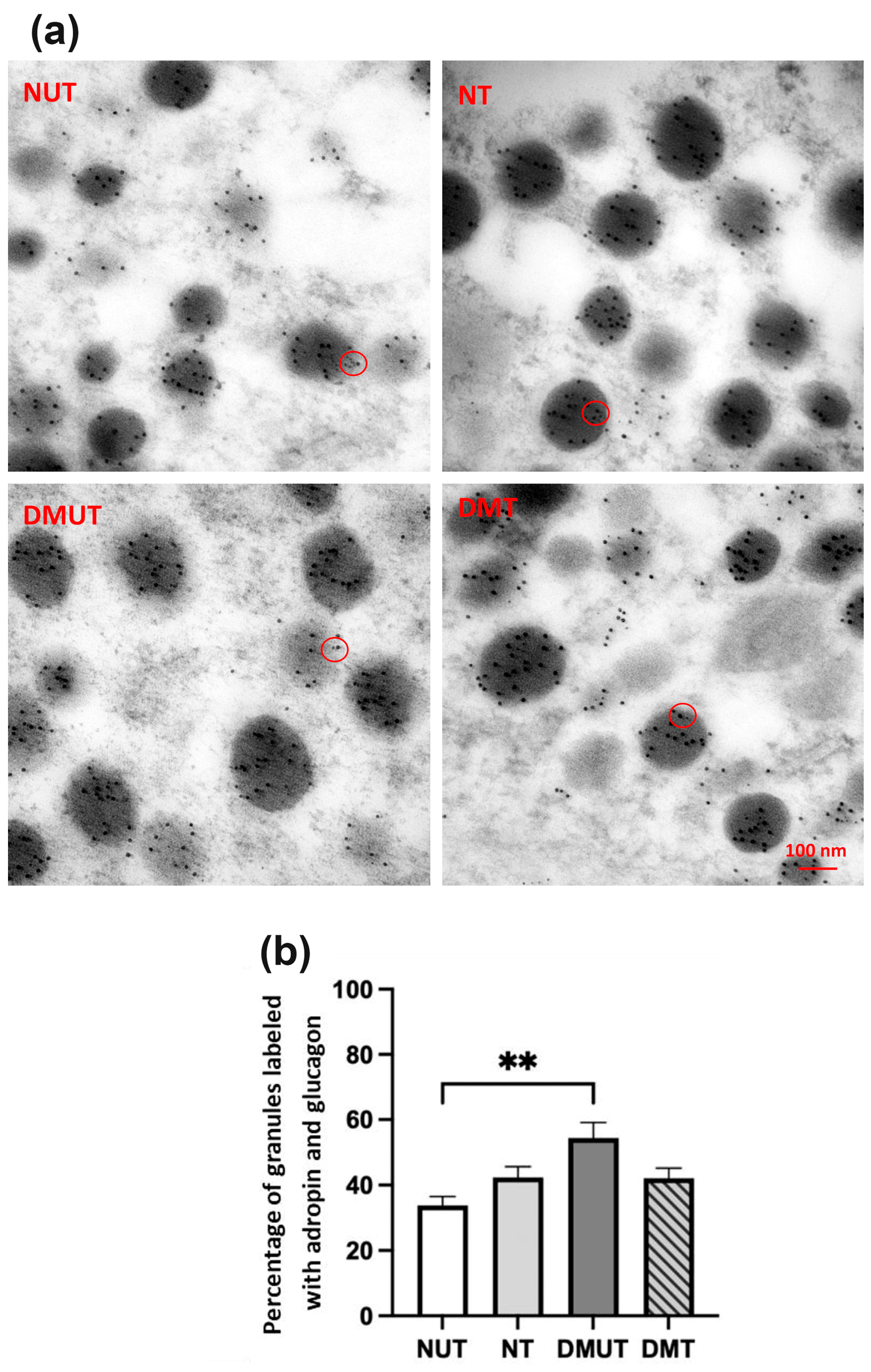 Ijms 25 09824 g009