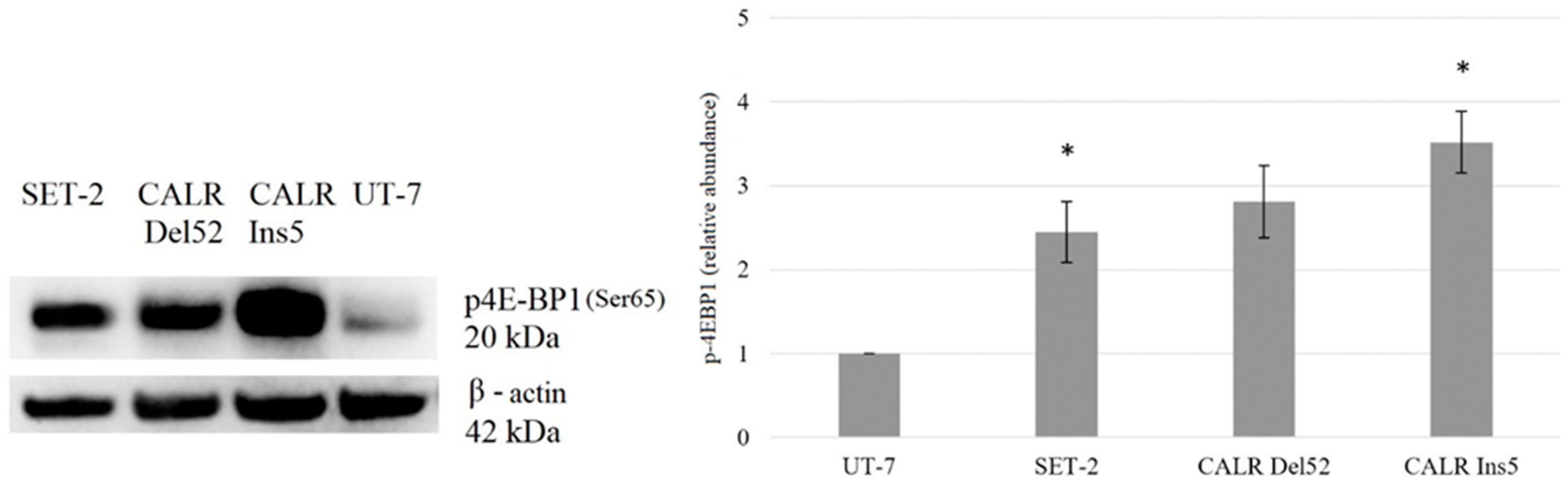 Ijms 25 09873 g009 Ijms 25 09873 g009