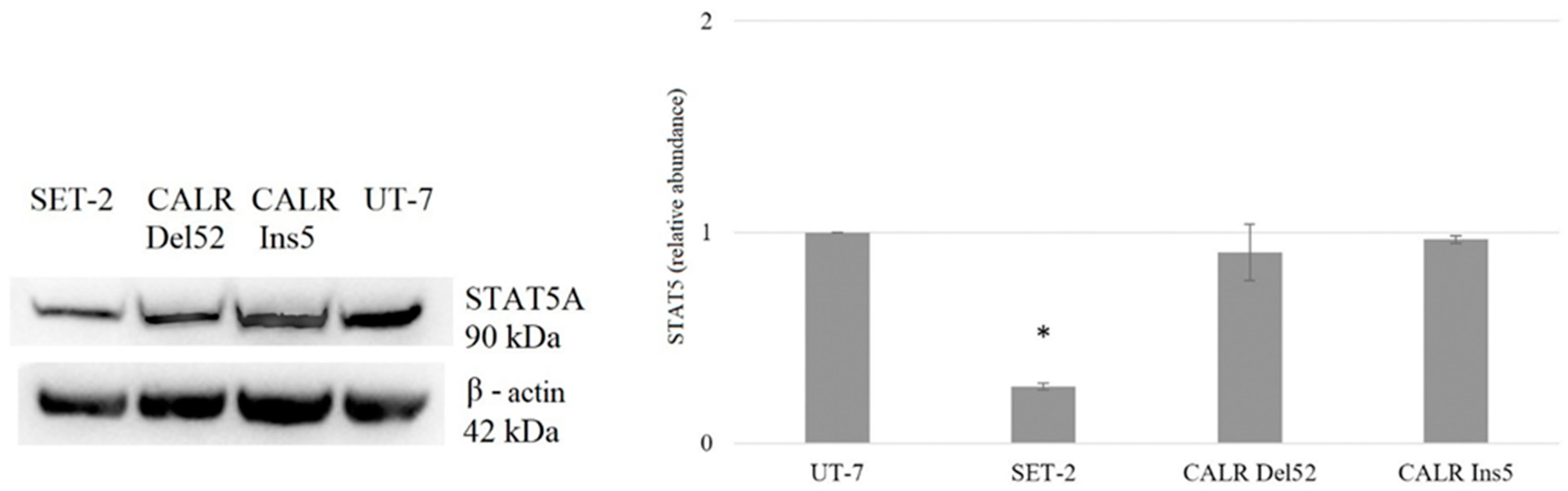 Ijms 25 09873 g010 Ijms 25 09873 g010