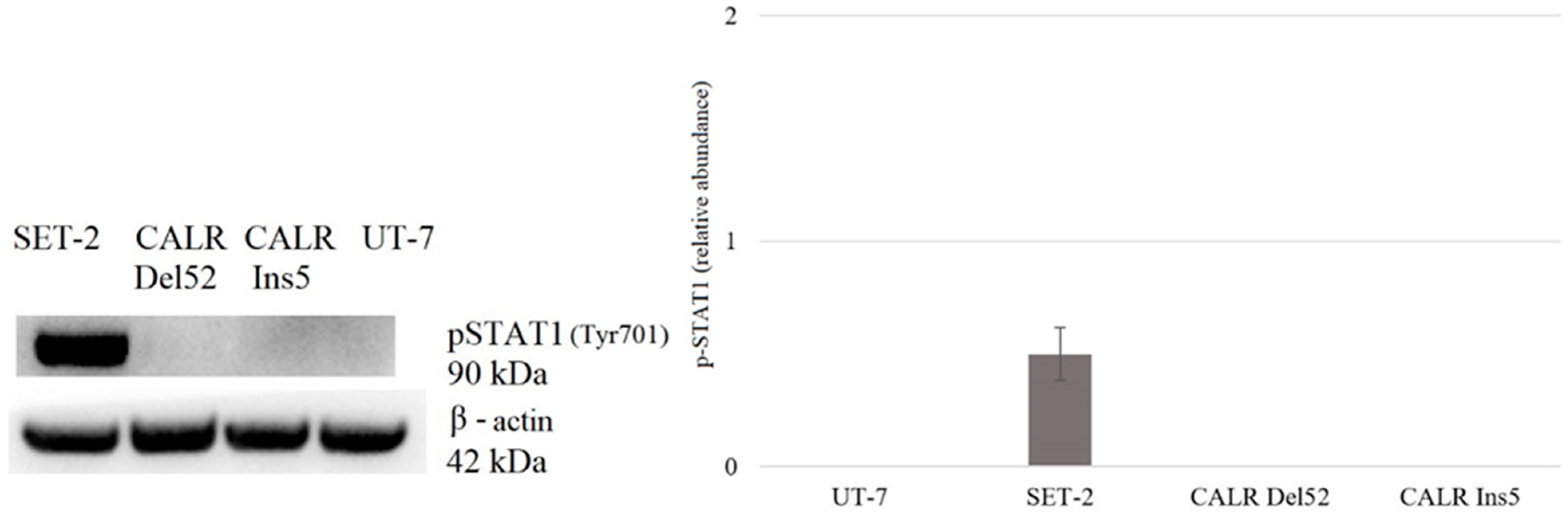 Ijms 25 09873 g013 Ijms 25 09873 g013