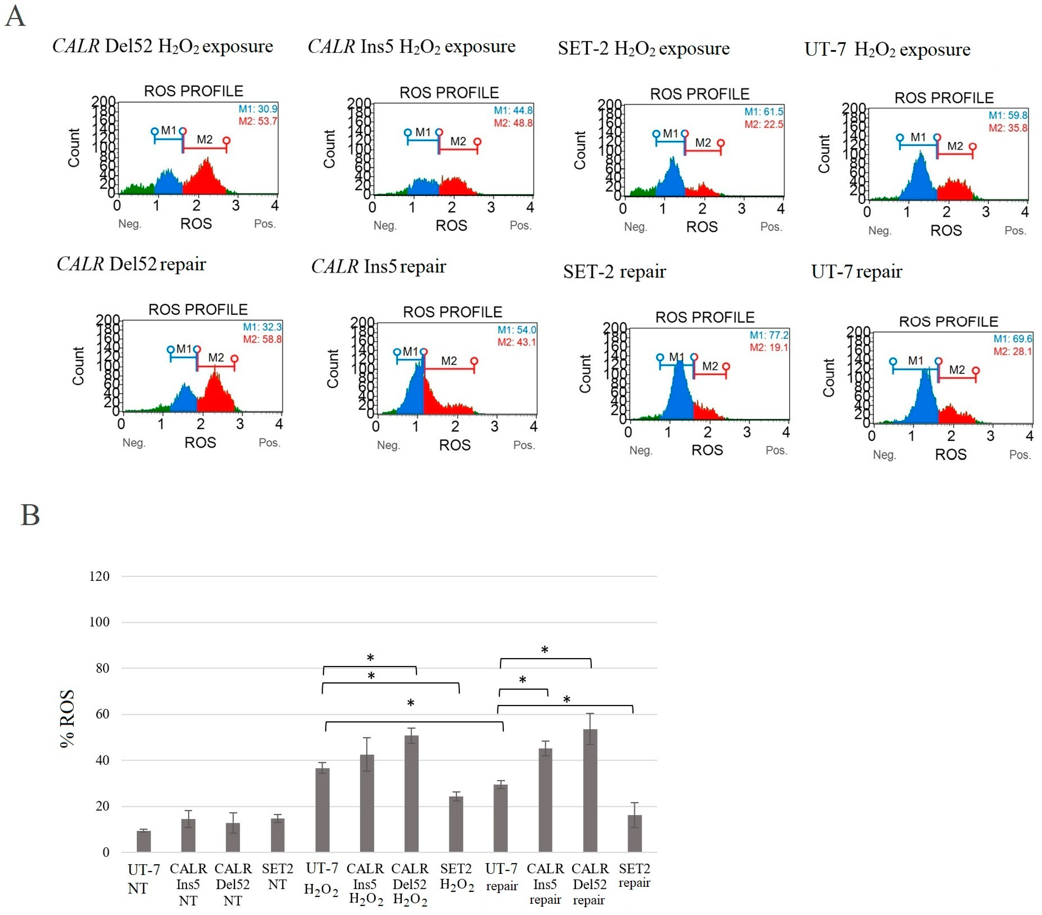 Ijms 25 09873 g014 Ijms 25 09873 g014