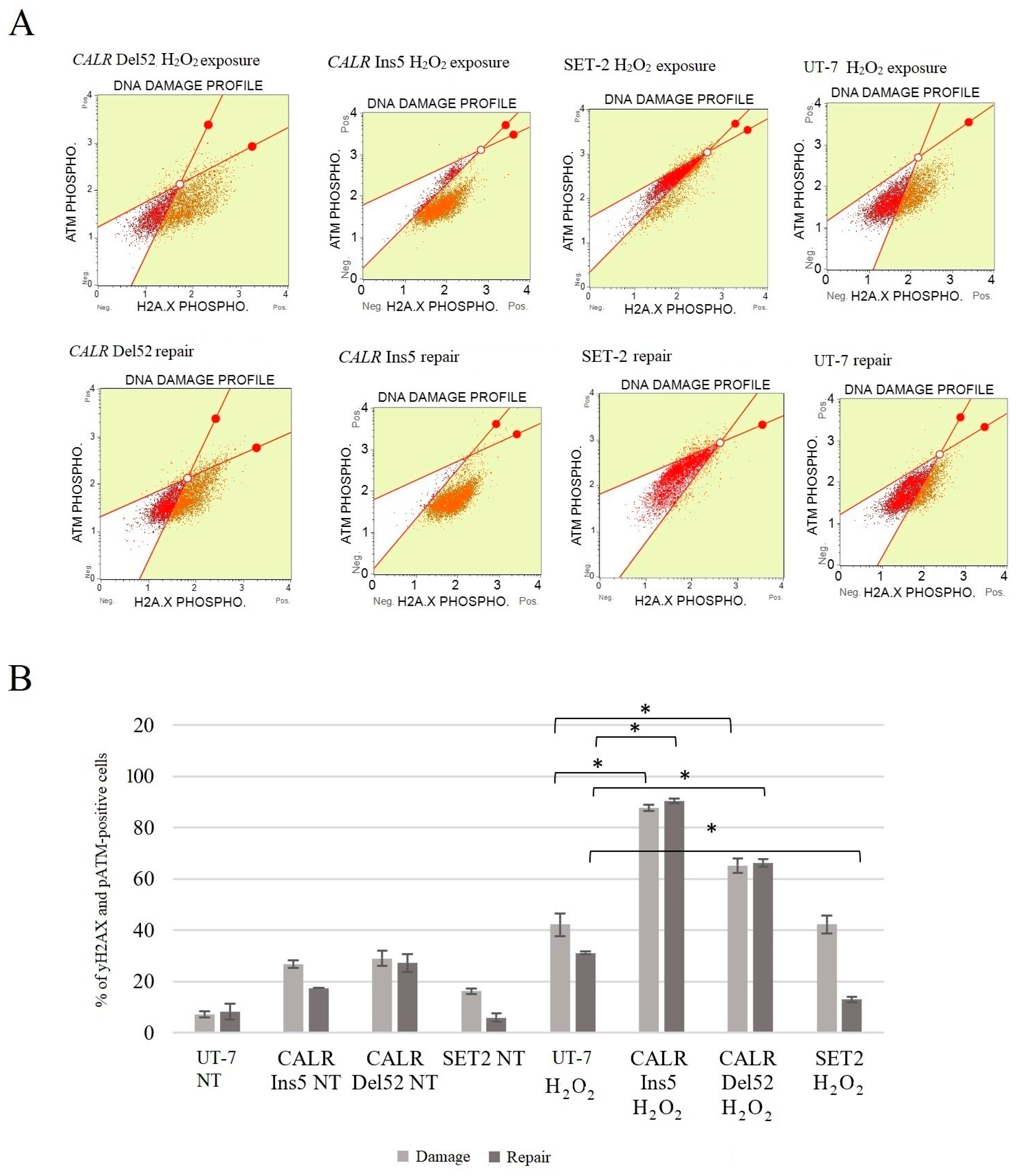 Ijms 25 09873 g015 Ijms 25 09873 g015