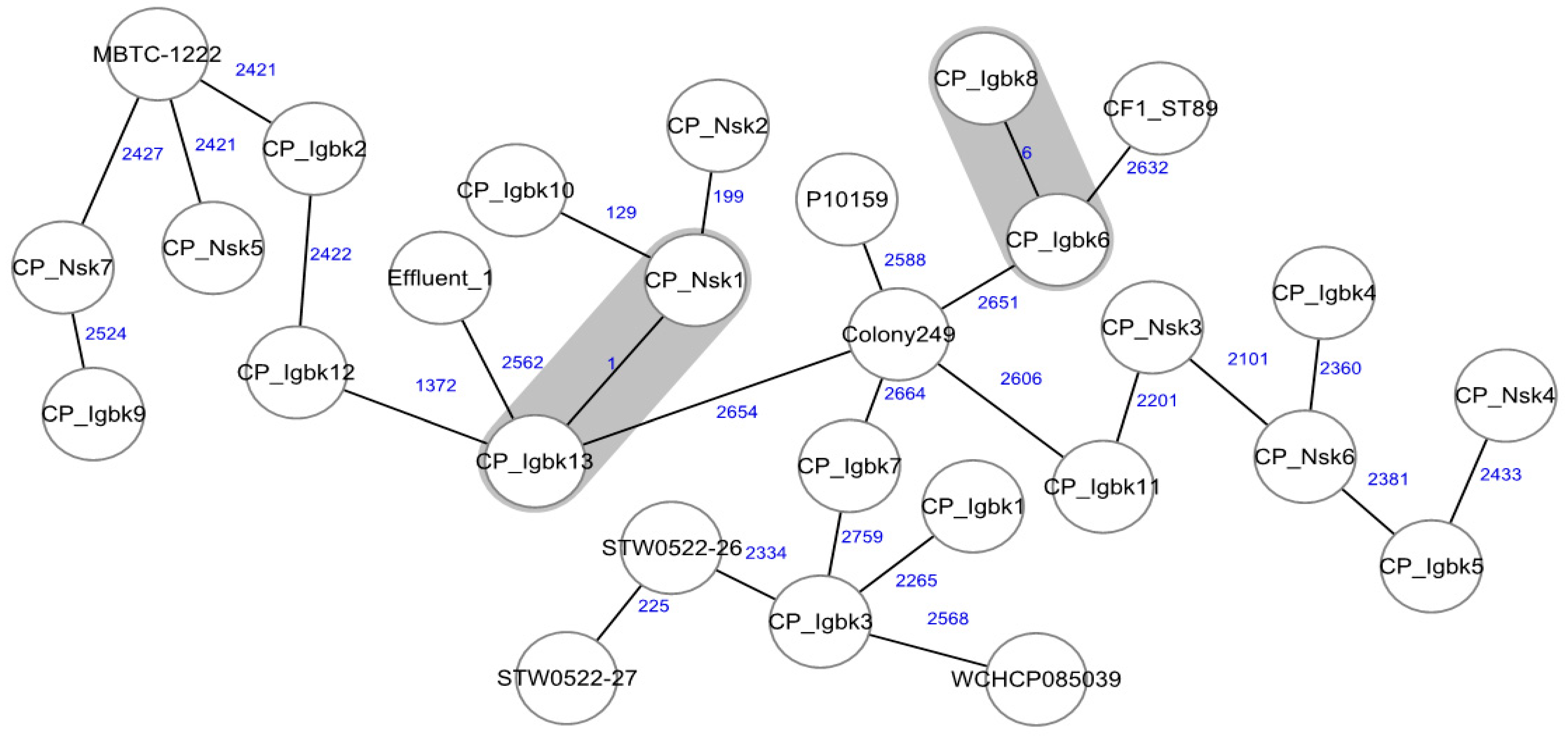 Ijms 25 09889 g001 Ijms 25 09889 g001