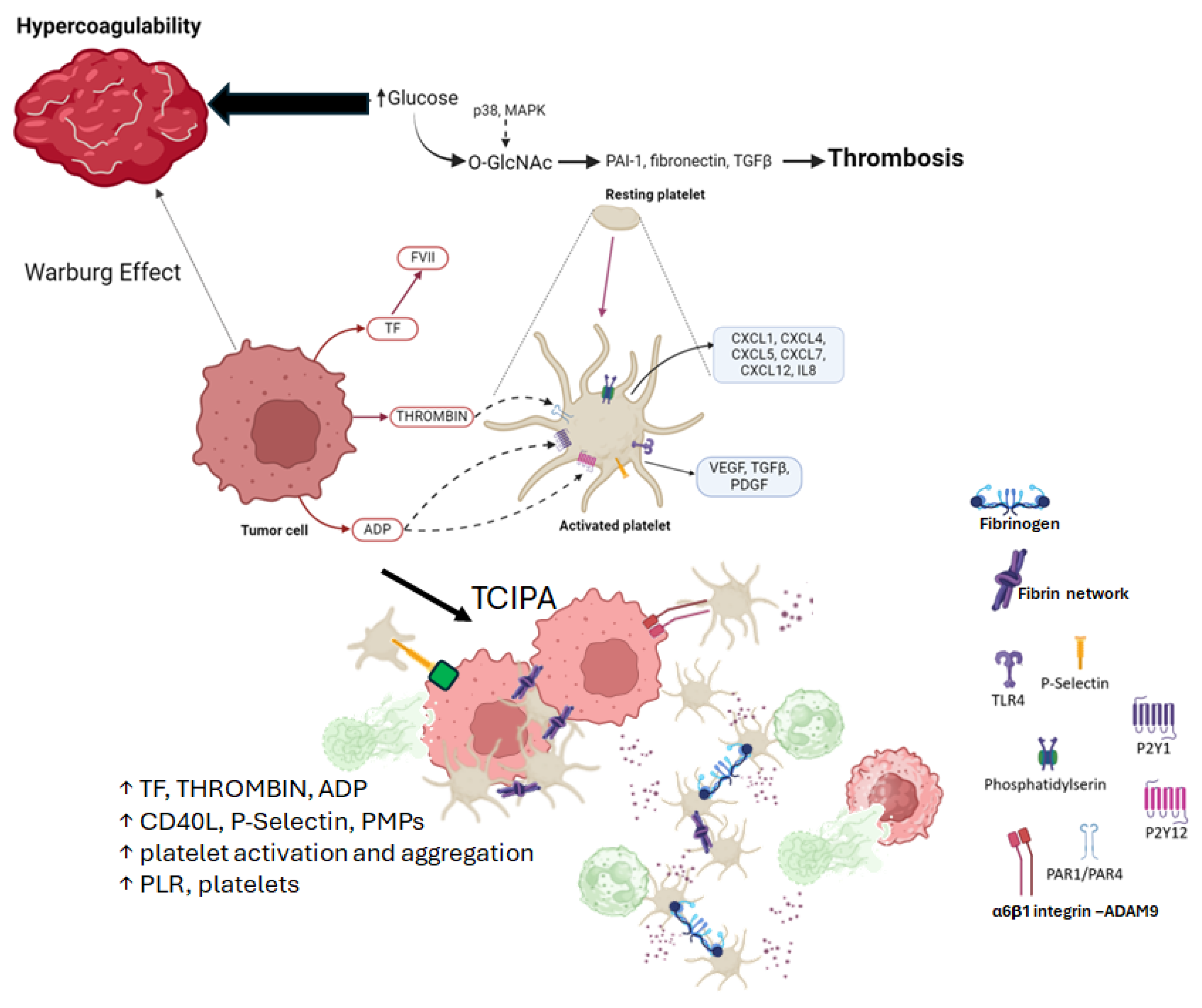 Ijms 25 09896 g006 Ijms 25 09896 g006