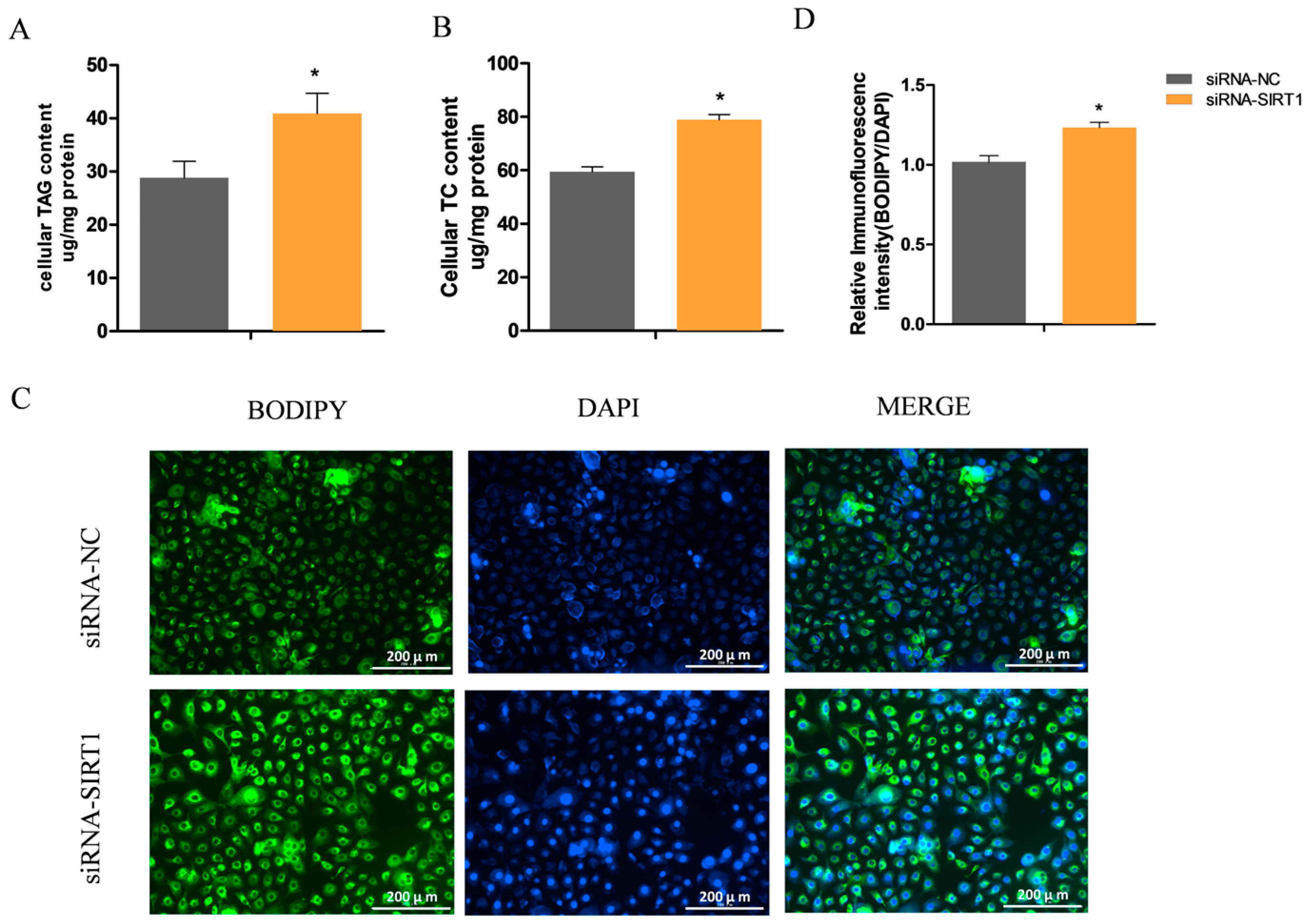 Ijms 25 09923 g004 Ijms 25 09923 g004
