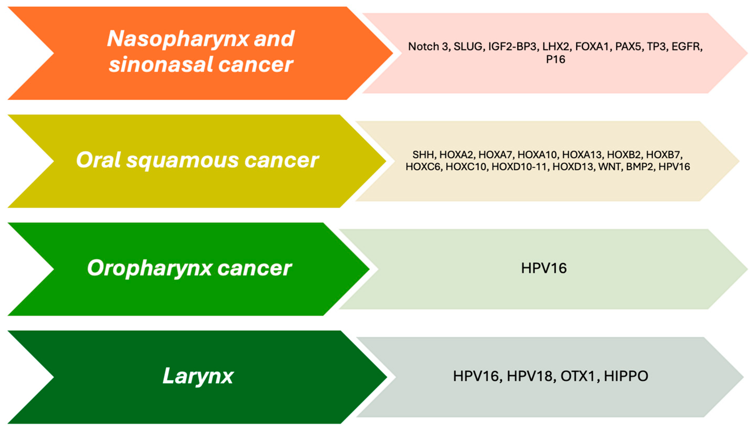 Ijms 25 09979 g001 Ijms 25 09979 g001