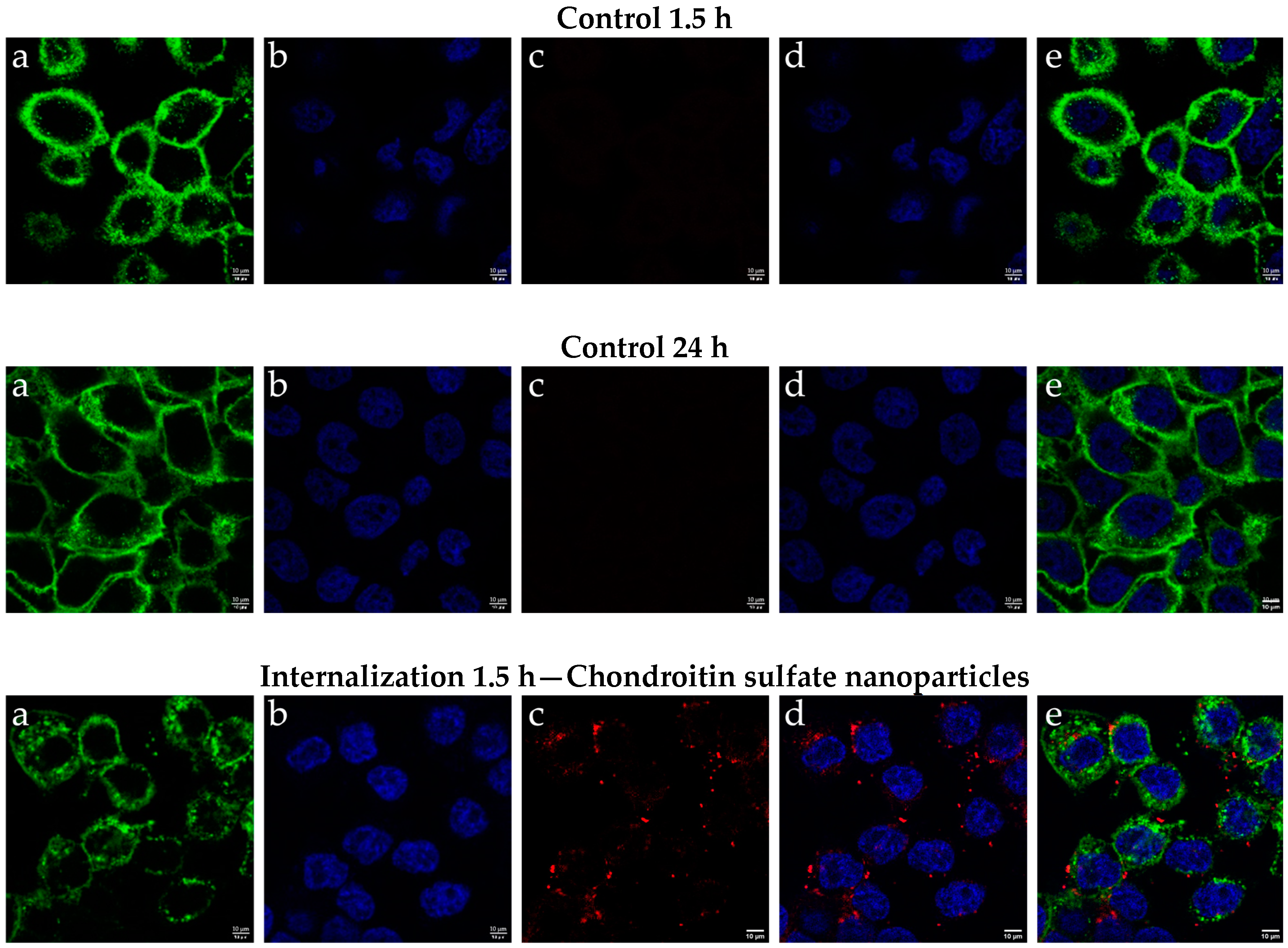 Ijms 25 10023 g006a Ijms 25 10023 g006a