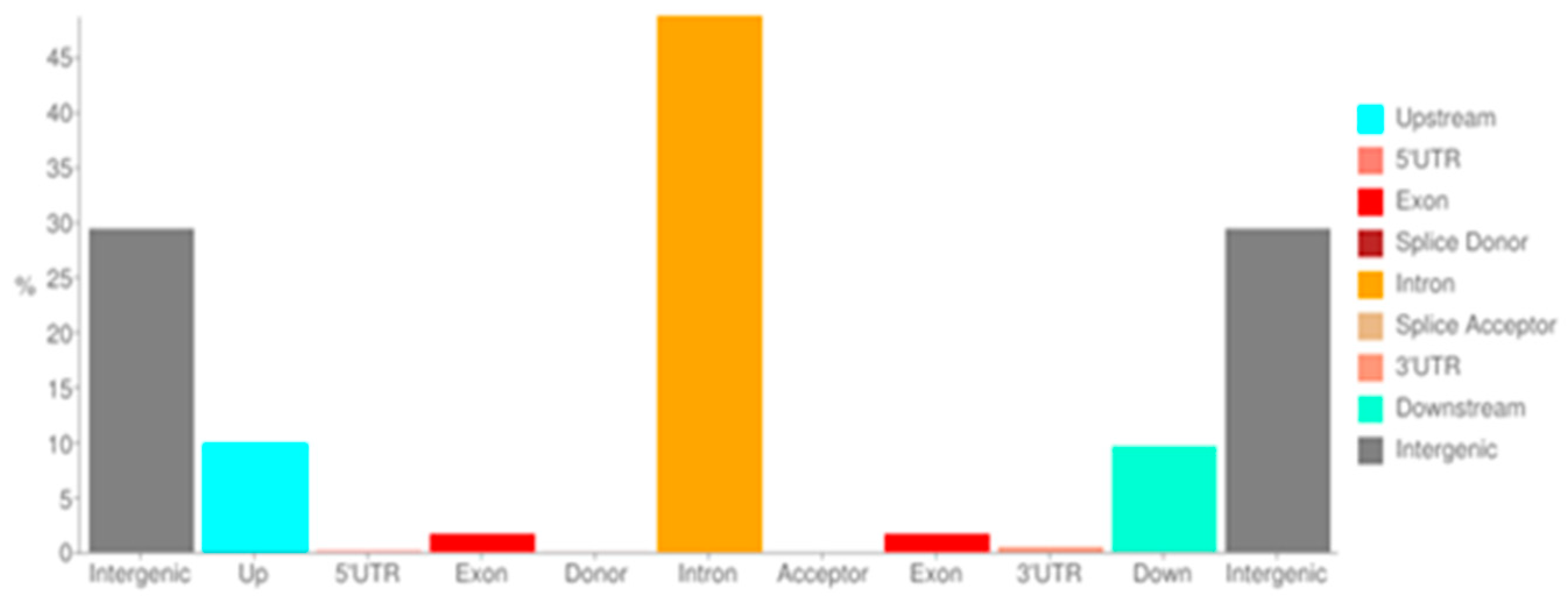 Ijms 25 10056 g001 Ijms 25 10056 g001