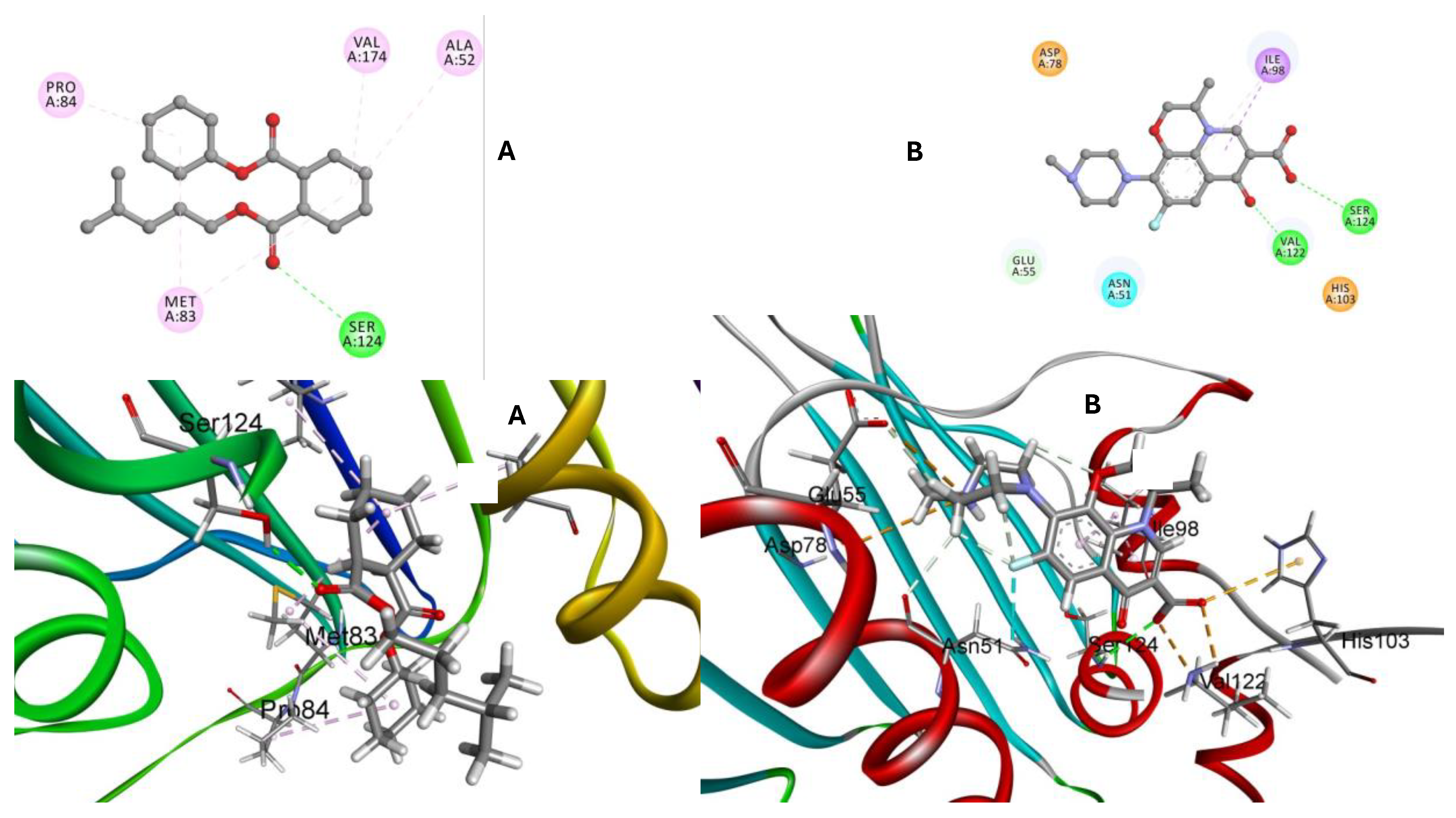 Ijms 25 10090 g012 Ijms 25 10090 g012