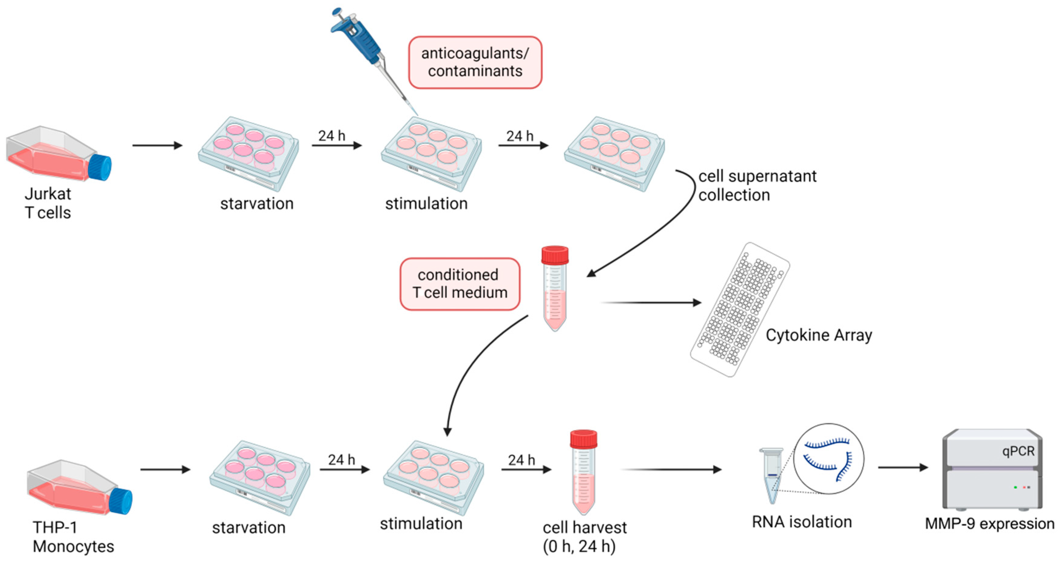 Ijms 25 10106 g006 Ijms 25 10106 g006