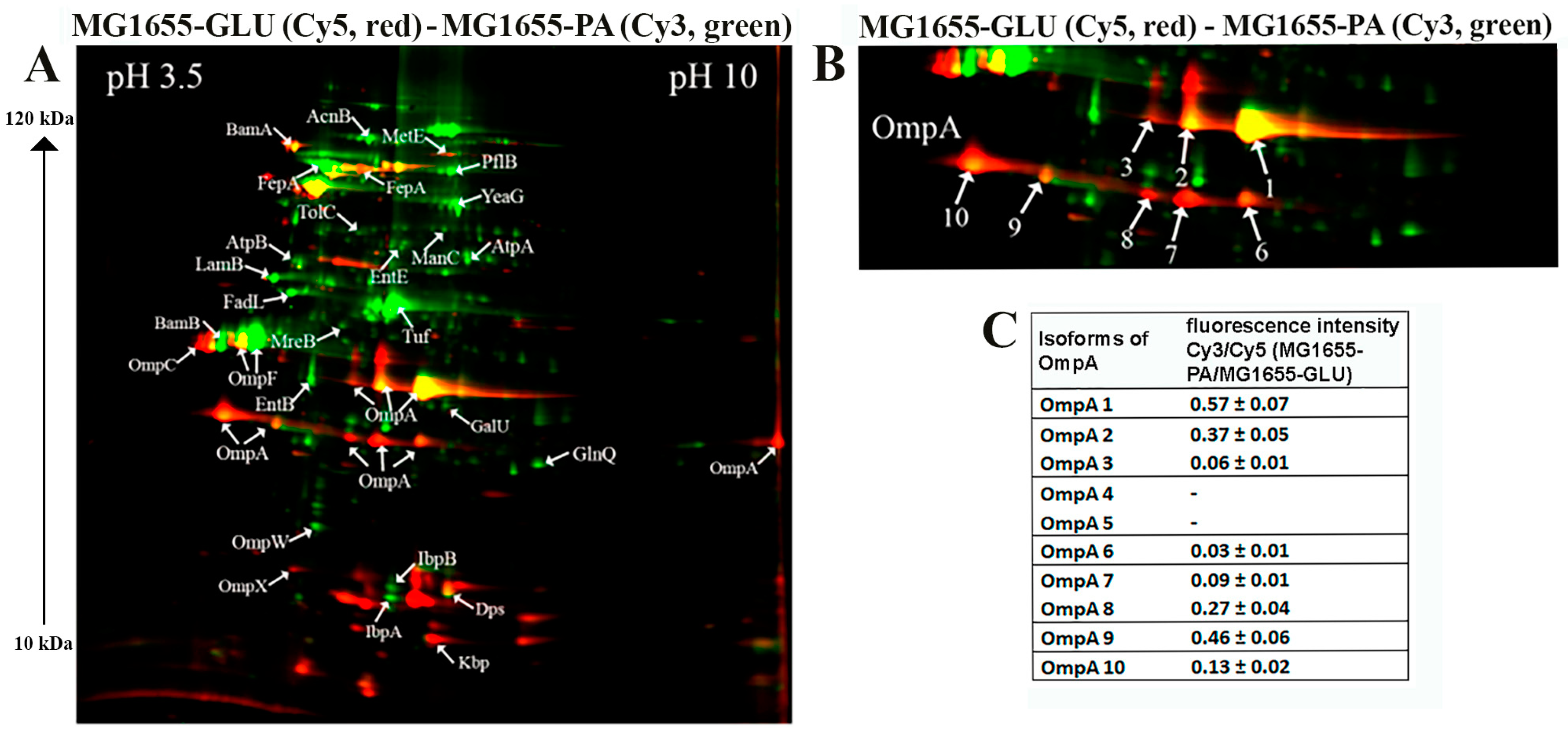 Ijms 25 10118 g003 Ijms 25 10118 g003