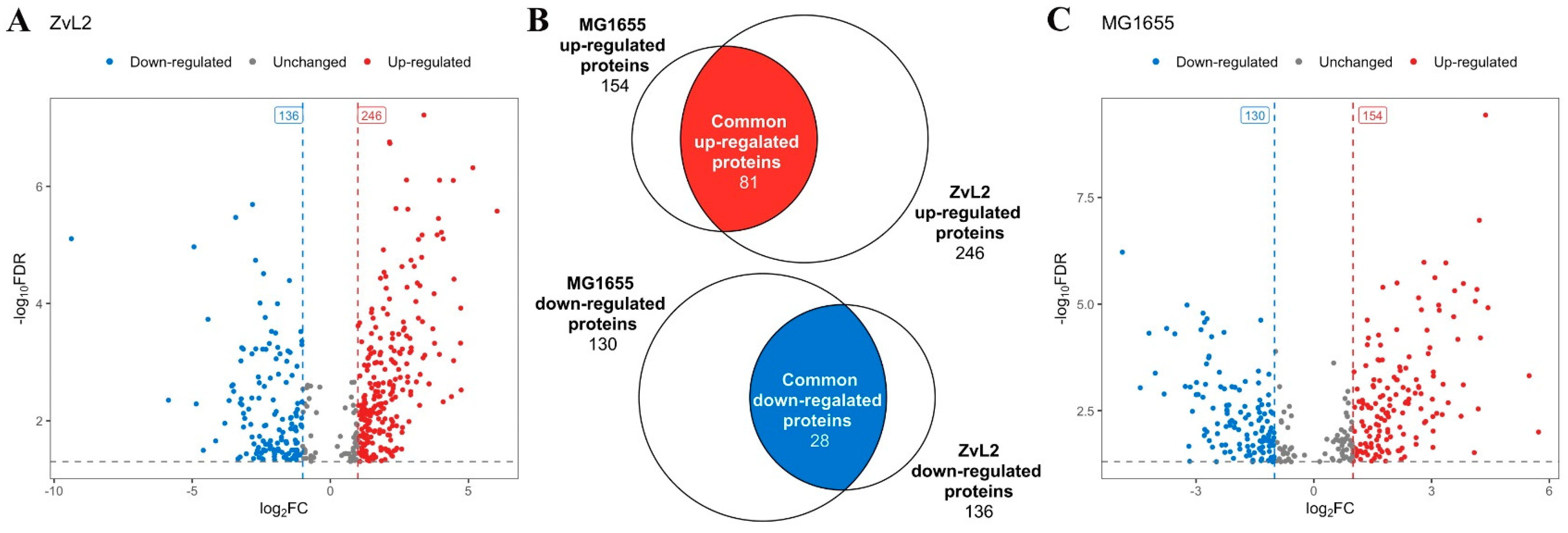 Ijms 25 10118 g005 Ijms 25 10118 g005