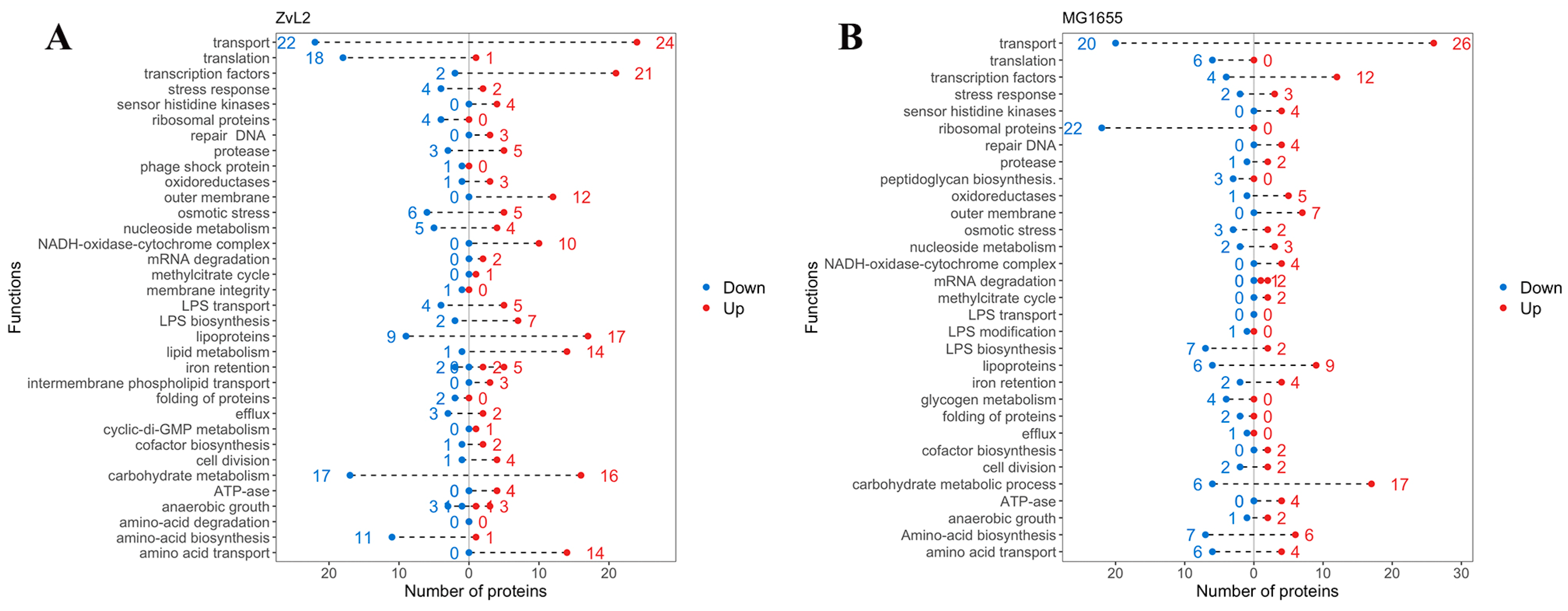 Ijms 25 10118 g006 Ijms 25 10118 g006