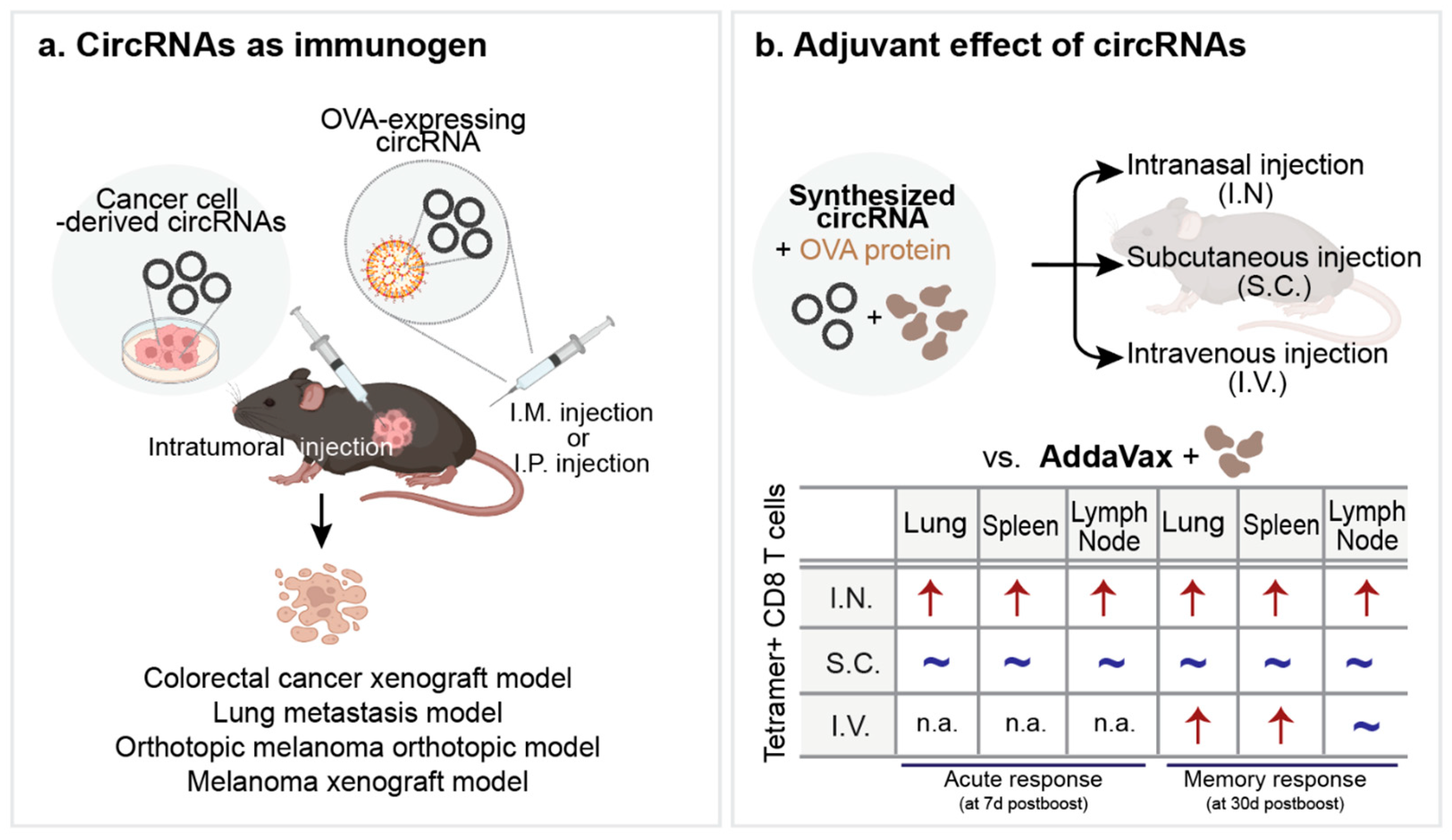 Ijms 25 10121 g003 Ijms 25 10121 g003
