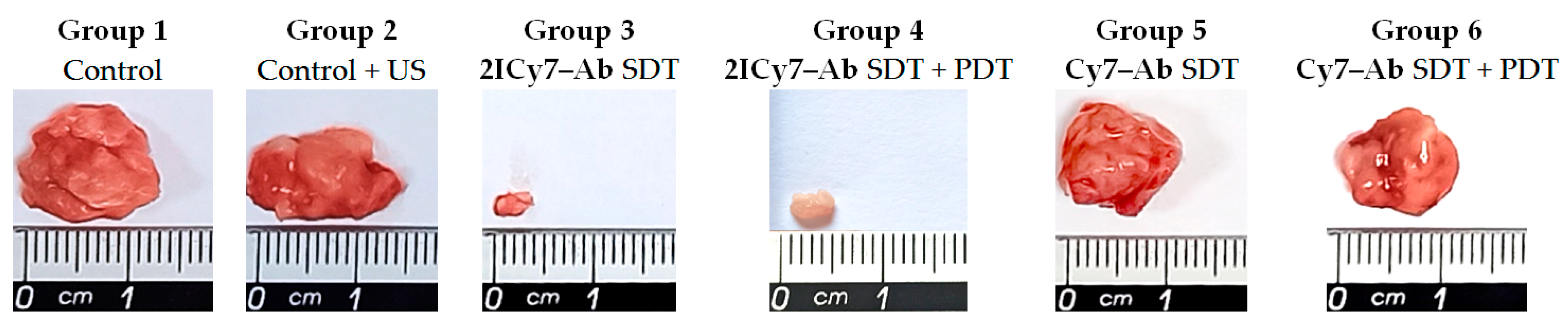 Ijms 25 10137 g008 Ijms 25 10137 g008