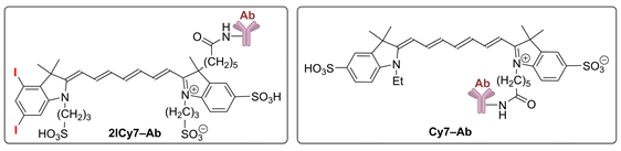 Ijms 25 10137 i001 Ijms 25 10137 i001