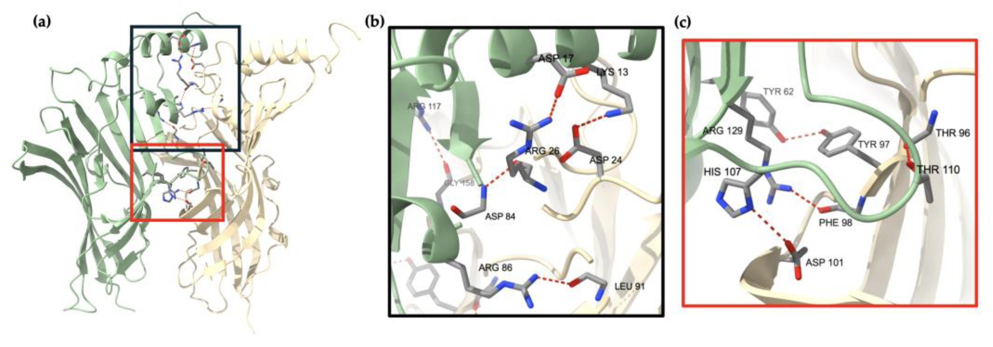 Ijms 25 10142 g010 Ijms 25 10142 g010