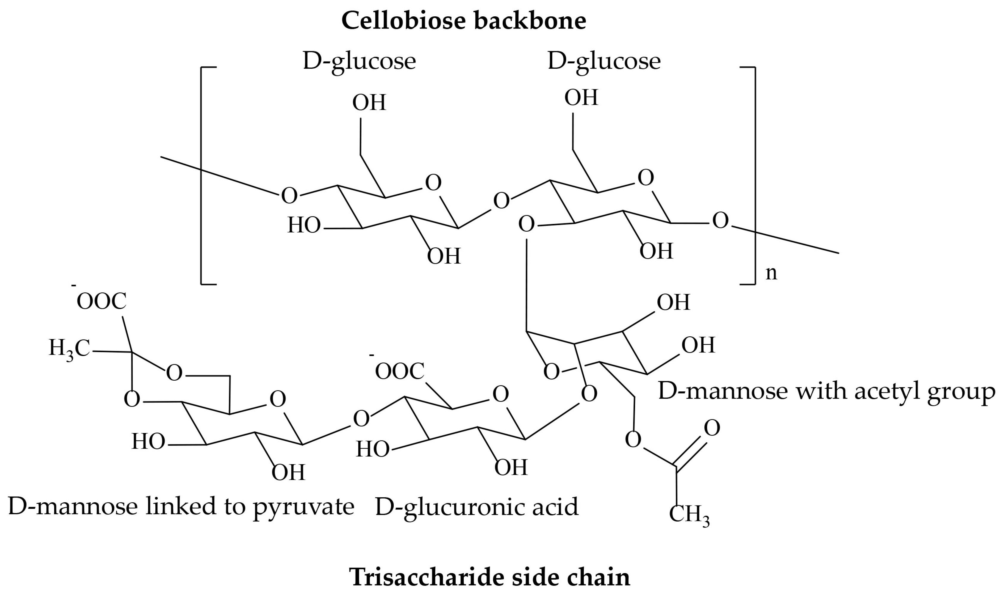 Ijms 25 10143 g001 Ijms 25 10143 g001
