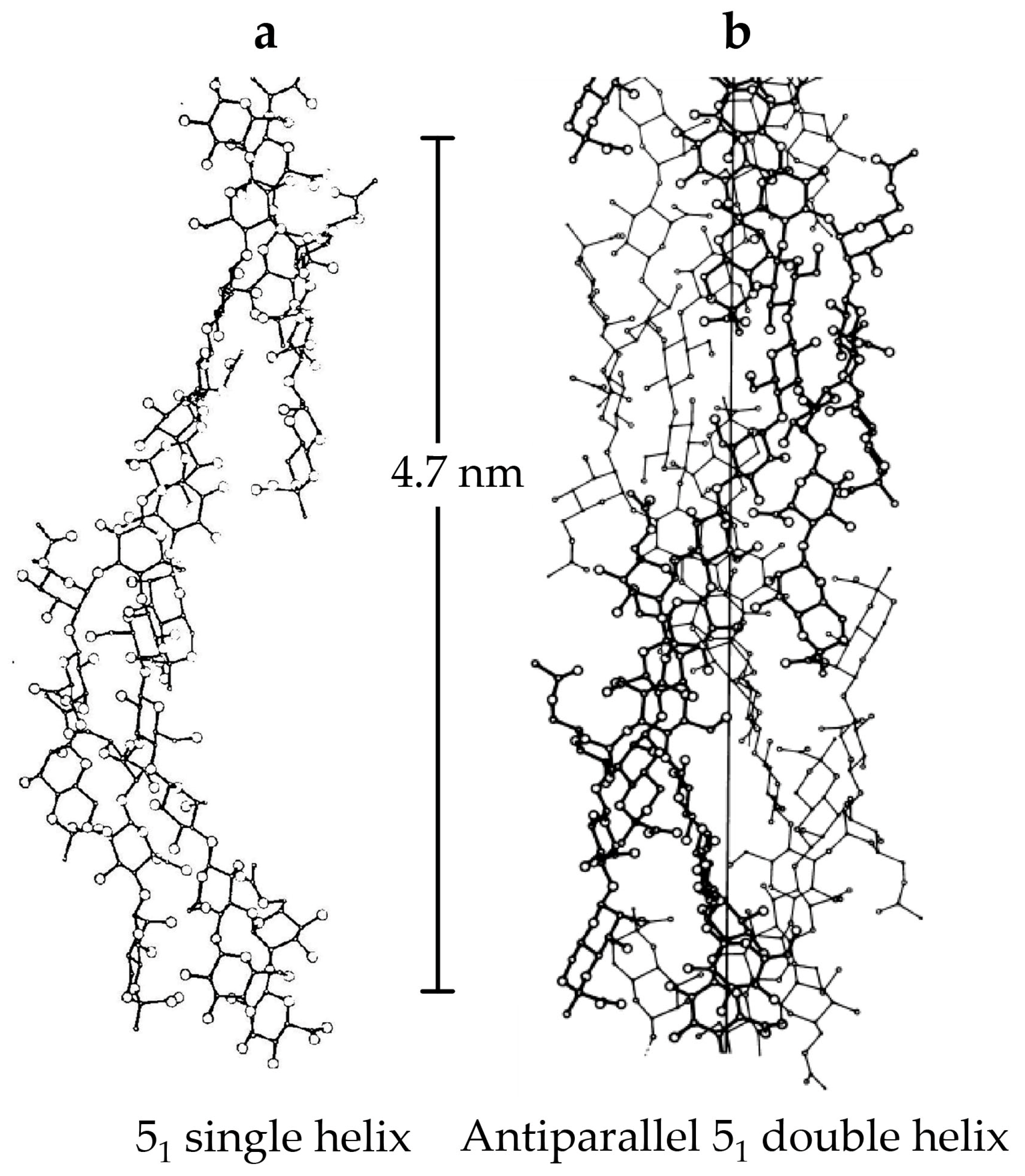 Ijms 25 10143 g002 Ijms 25 10143 g002