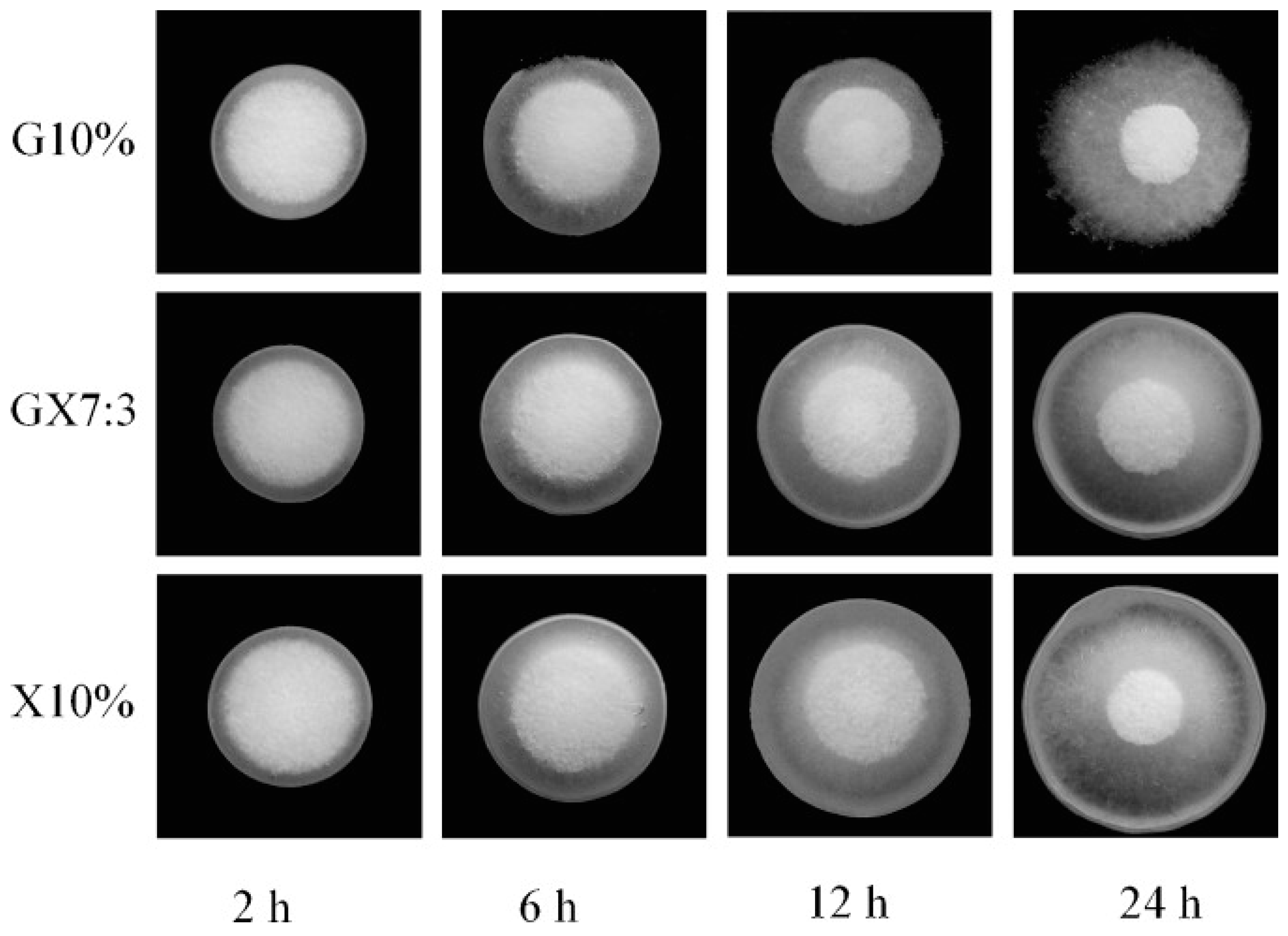 Ijms 25 10143 g004 Ijms 25 10143 g004