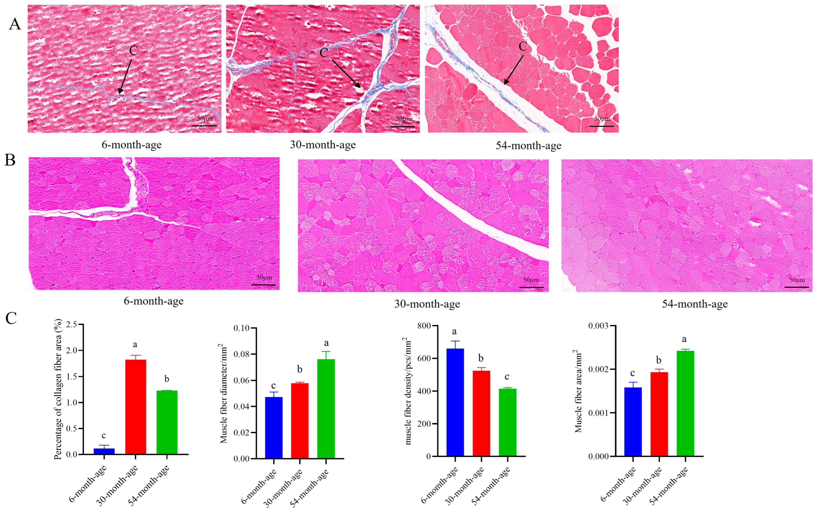 Ijms 25 10151 g002 Ijms 25 10151 g002