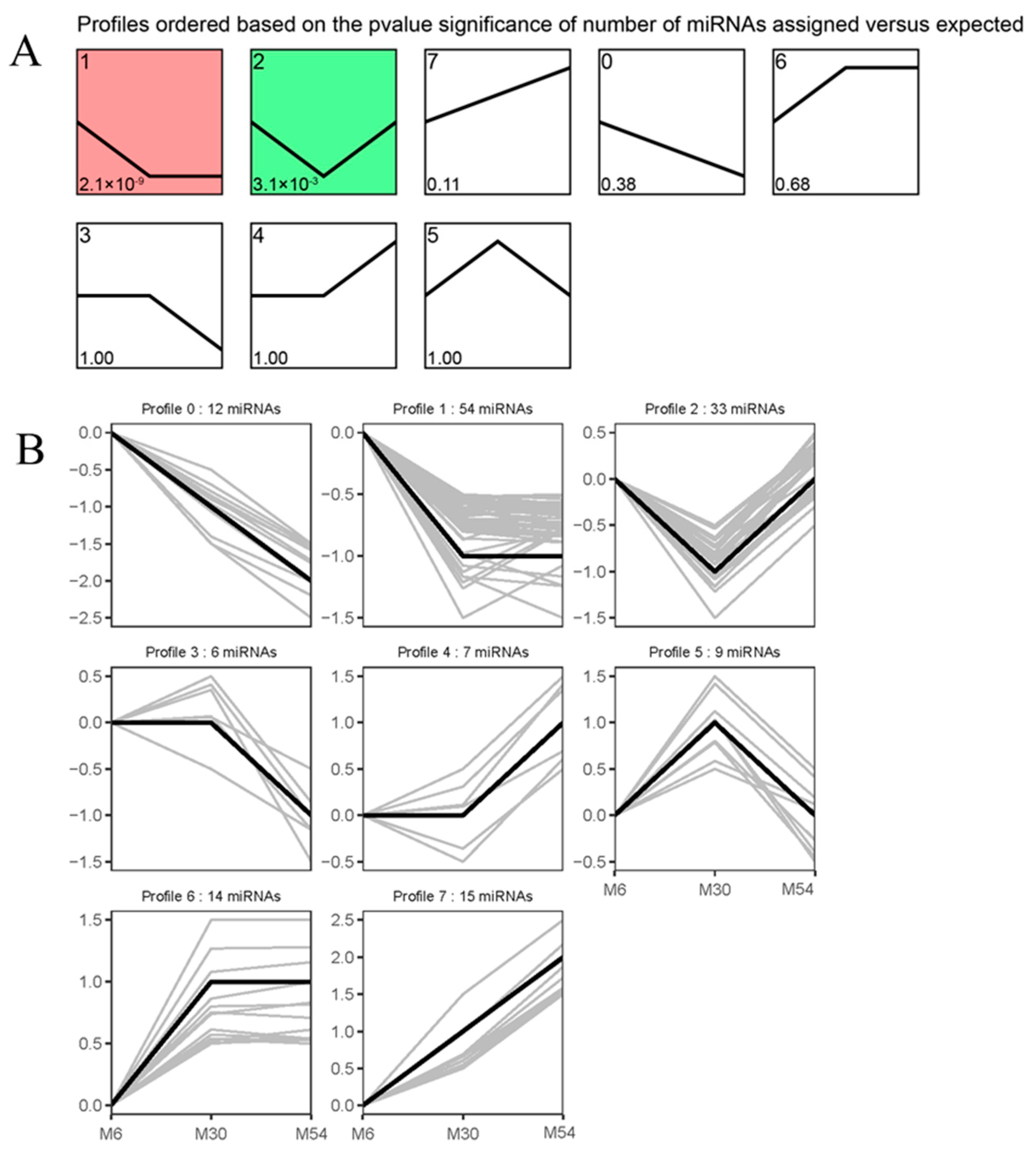 Ijms 25 10151 g006 Ijms 25 10151 g006