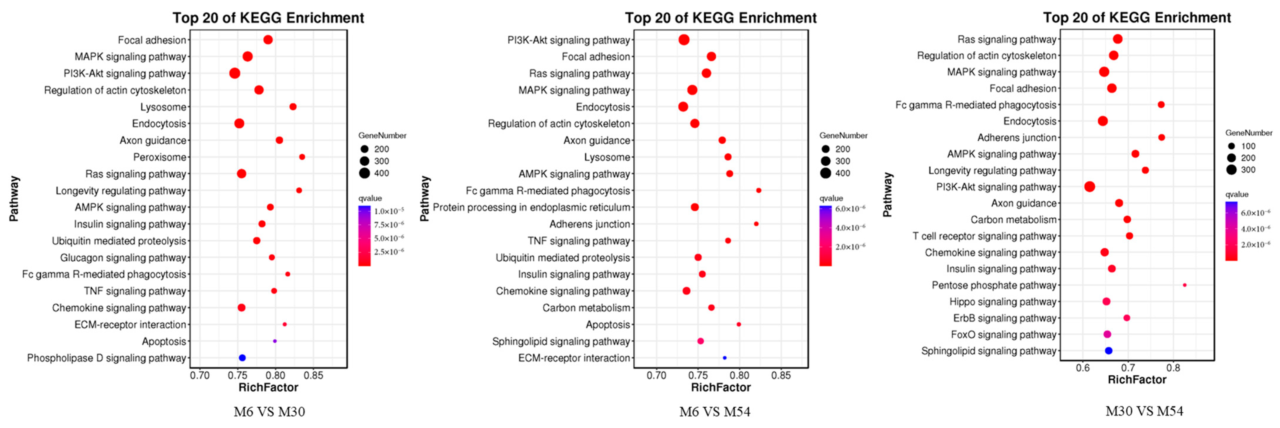 Ijms 25 10151 g008 Ijms 25 10151 g008