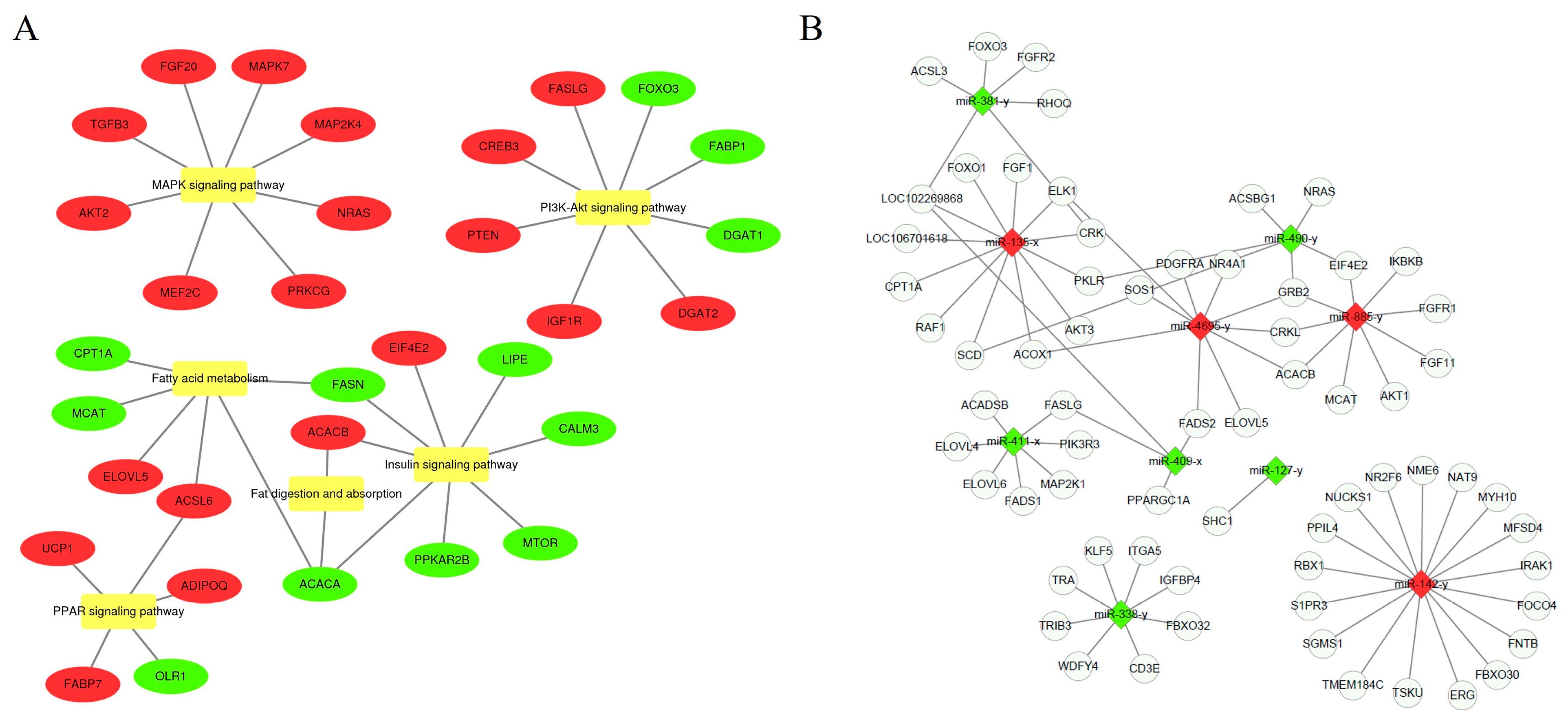 Ijms 25 10151 g010 Ijms 25 10151 g010