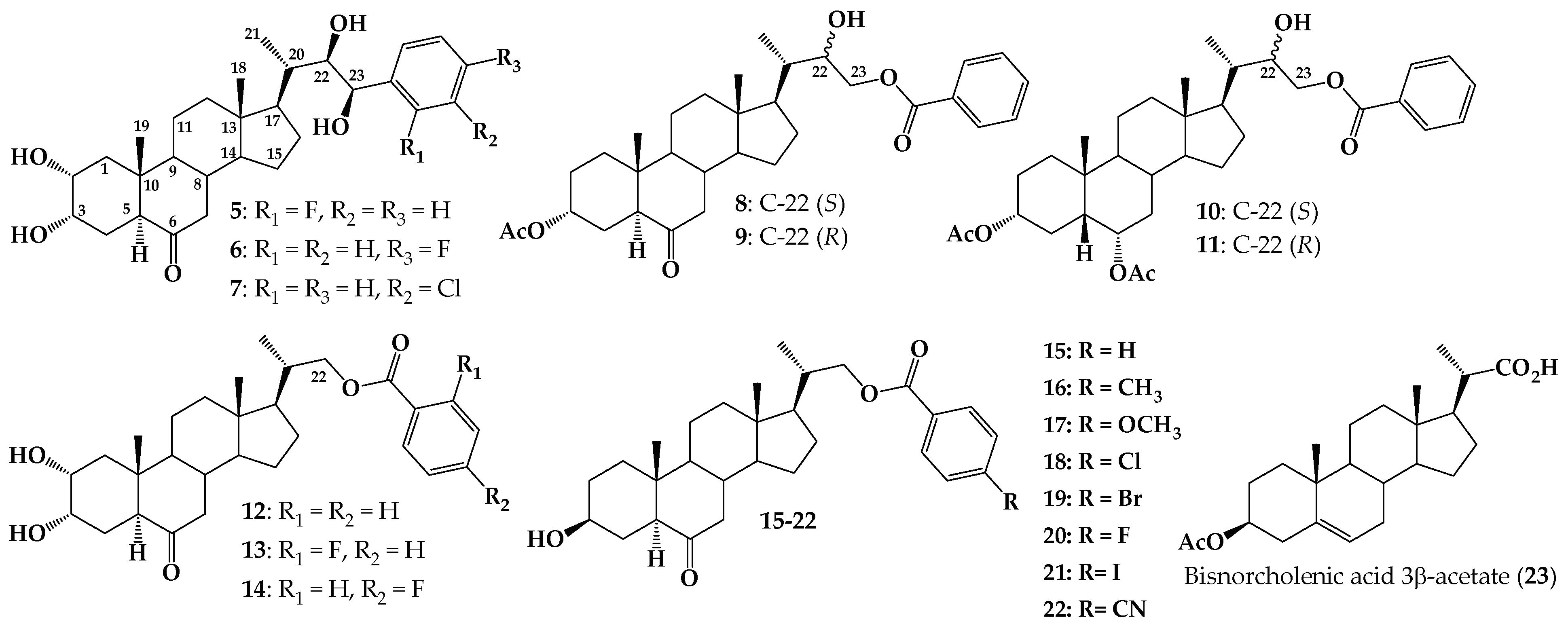 Ijms 25 10158 g002 Ijms 25 10158 g002