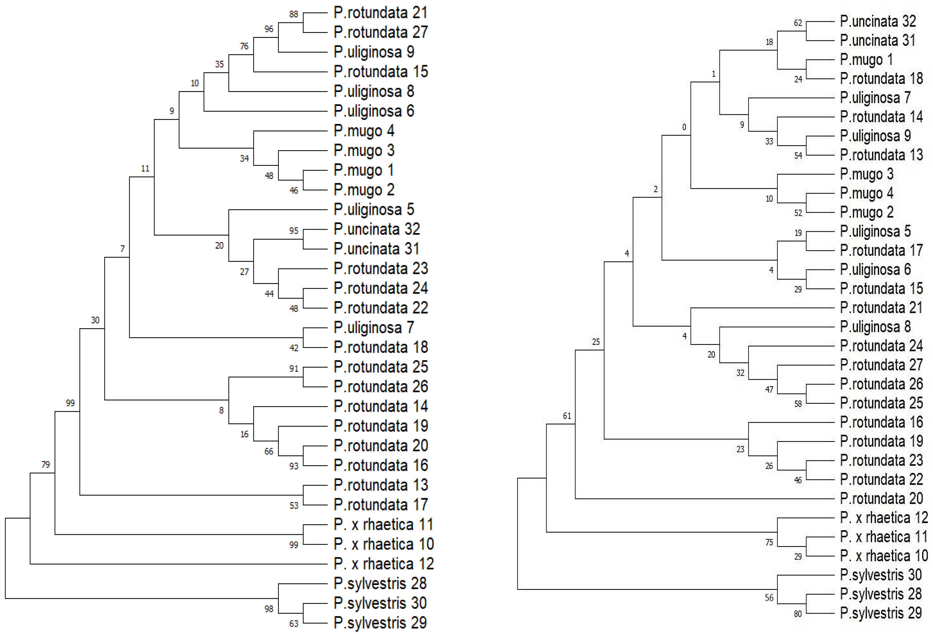 Ijms 25 10178 g001 Ijms 25 10178 g001