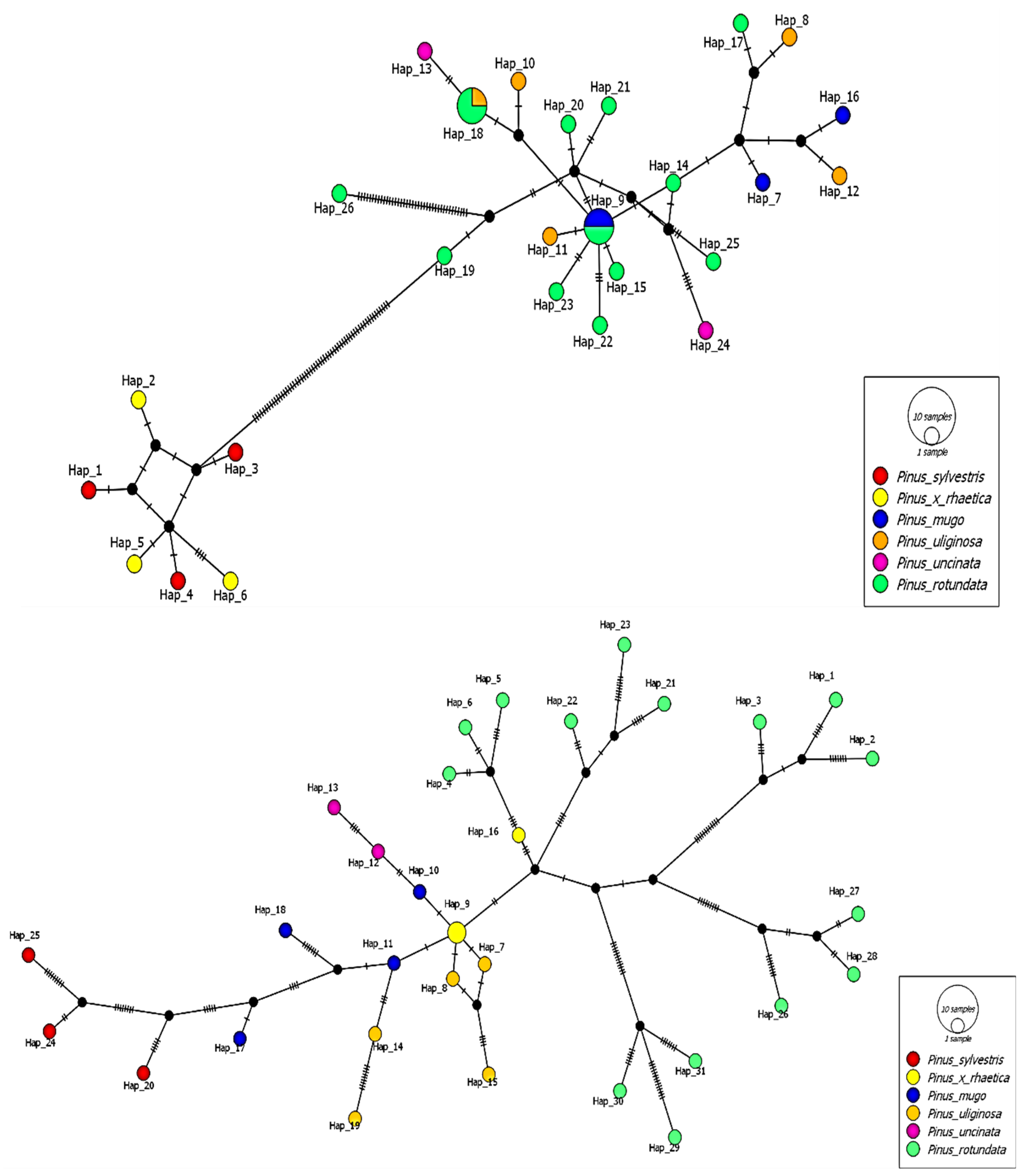 Ijms 25 10178 g003 Ijms 25 10178 g003