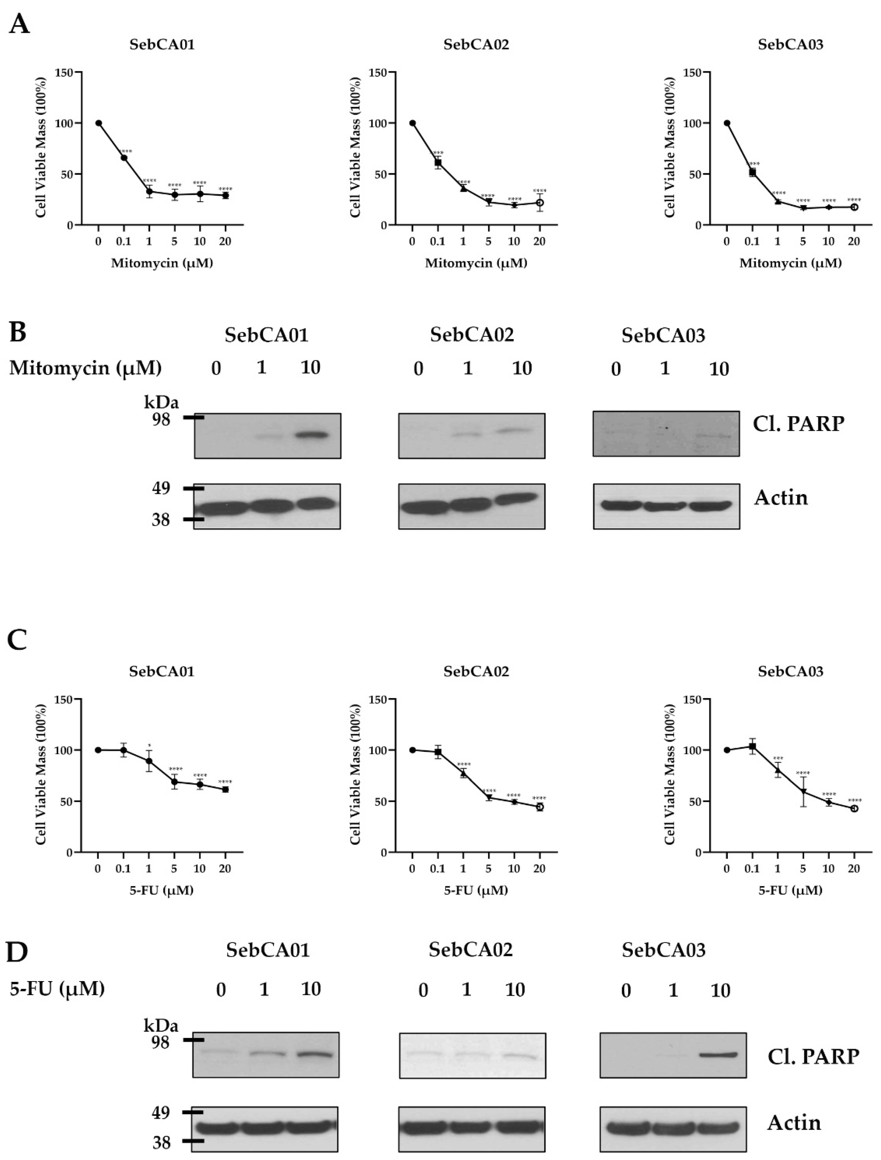 Ijms 25 10183 g003 Ijms 25 10183 g003
