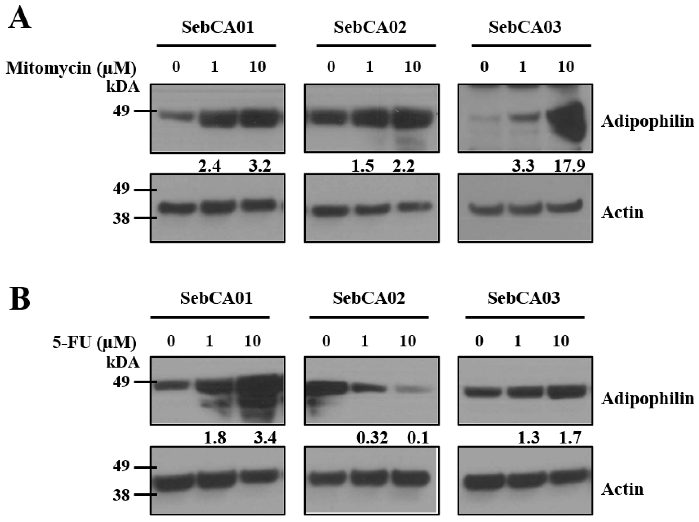 Ijms 25 10183 g004 Ijms 25 10183 g004