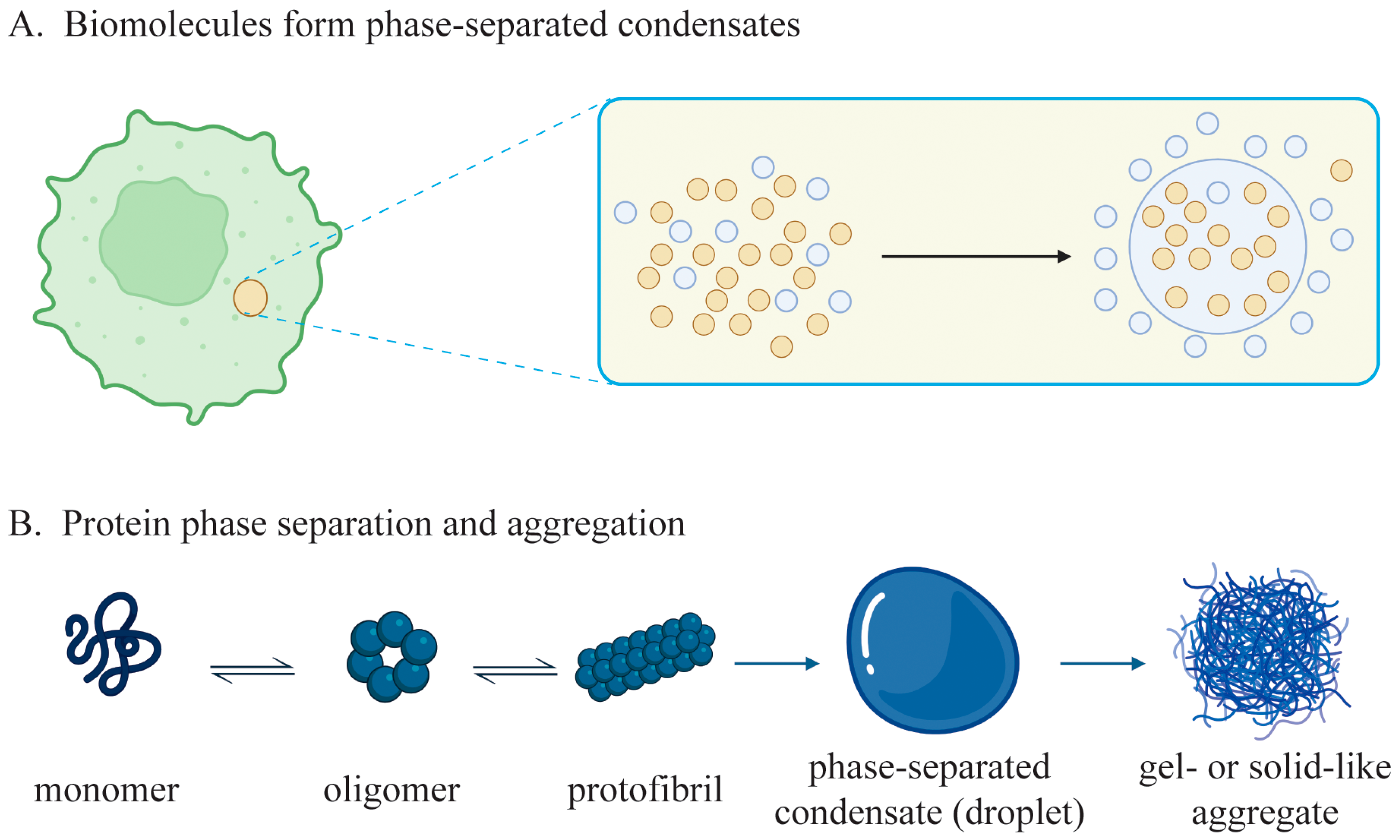 Ijms 25 10187 g001 Ijms 25 10187 g001