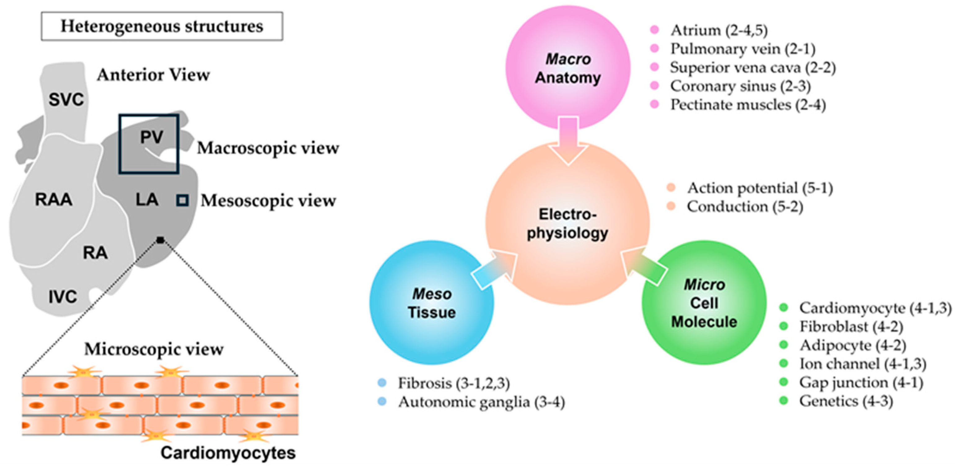 Ijms 25 10193 g001 Ijms 25 10193 g001