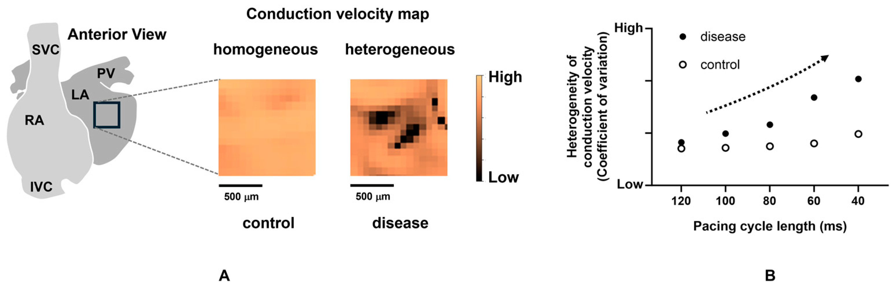 Ijms 25 10193 g003 Ijms 25 10193 g003
