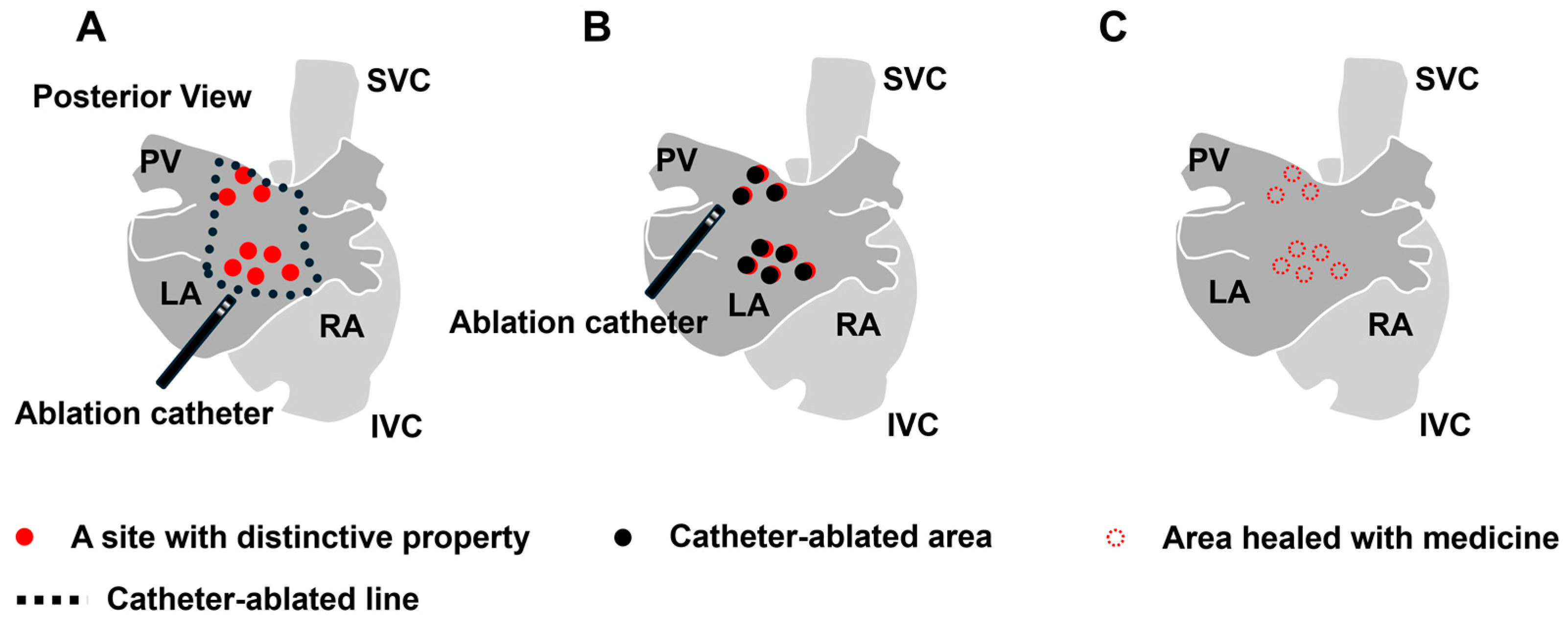 Ijms 25 10193 g004 Ijms 25 10193 g004