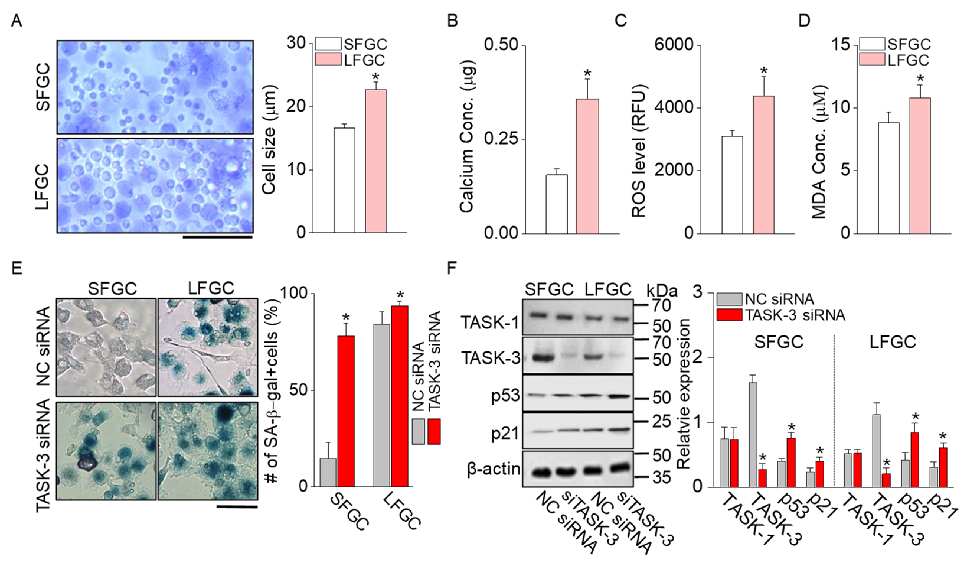 Ijms 25 10199 g004 Ijms 25 10199 g004