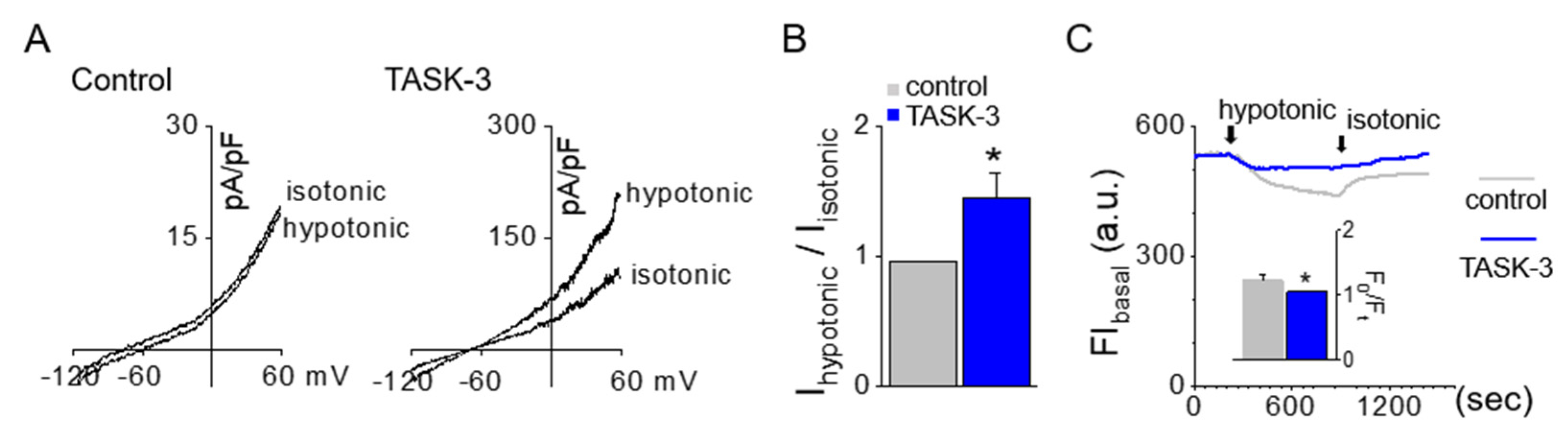 Ijms 25 10199 g005 Ijms 25 10199 g005