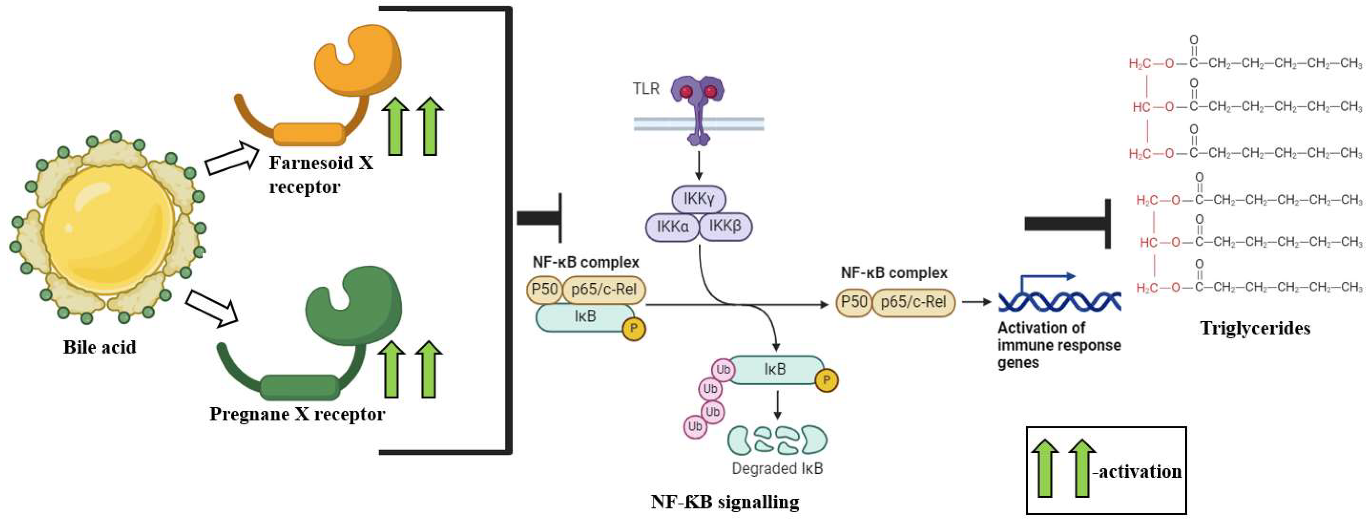 Ijms 25 10208 g001 Ijms 25 10208 g001